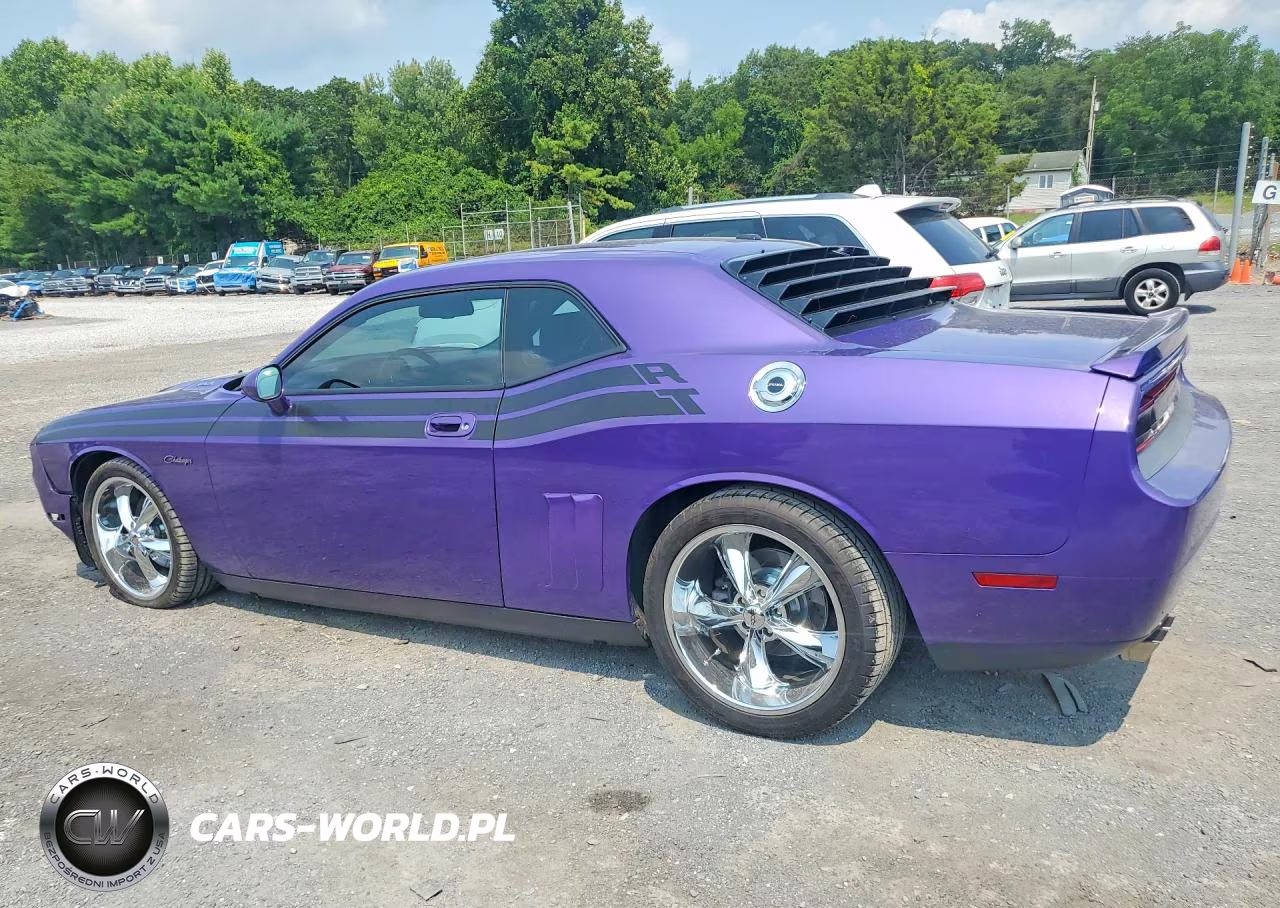2010 Dodge Challenger R-T VIN:2B3CJ5DT9AH173039 - 2