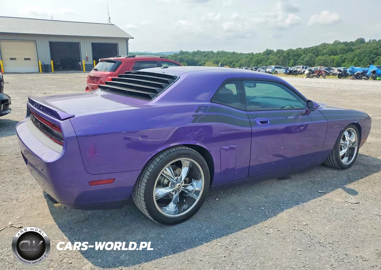2010 Dodge Challenger R-T VIN:2B3CJ5DT9AH173039 - 3