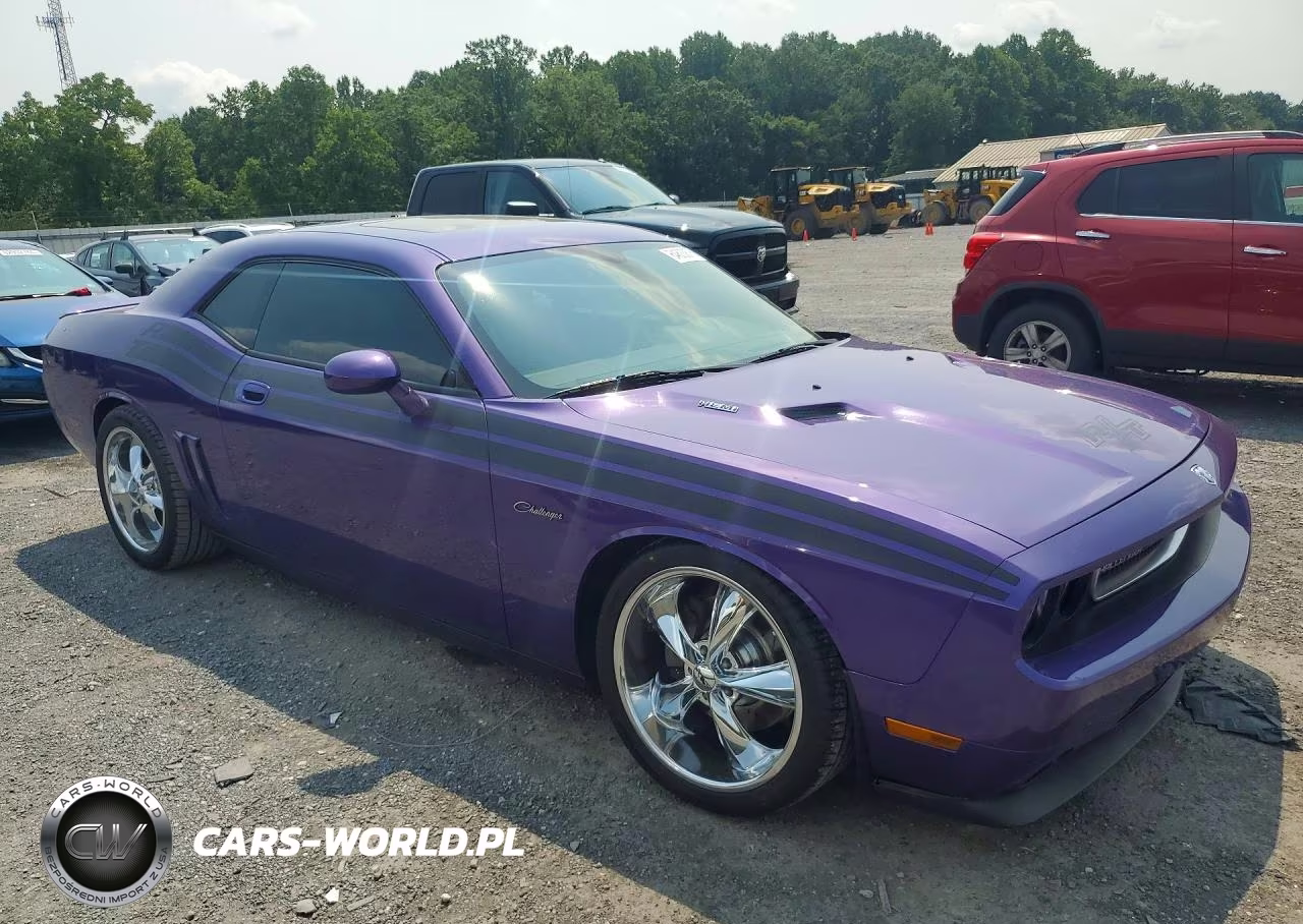 2010 Dodge Challenger R-T VIN:2B3CJ5DT9AH173039 - 4