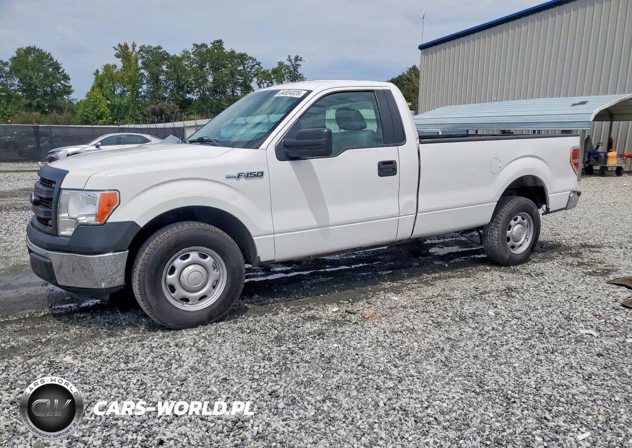 2013 Ford F150 VIN:1FTMF1CM5DKD29842 - 1