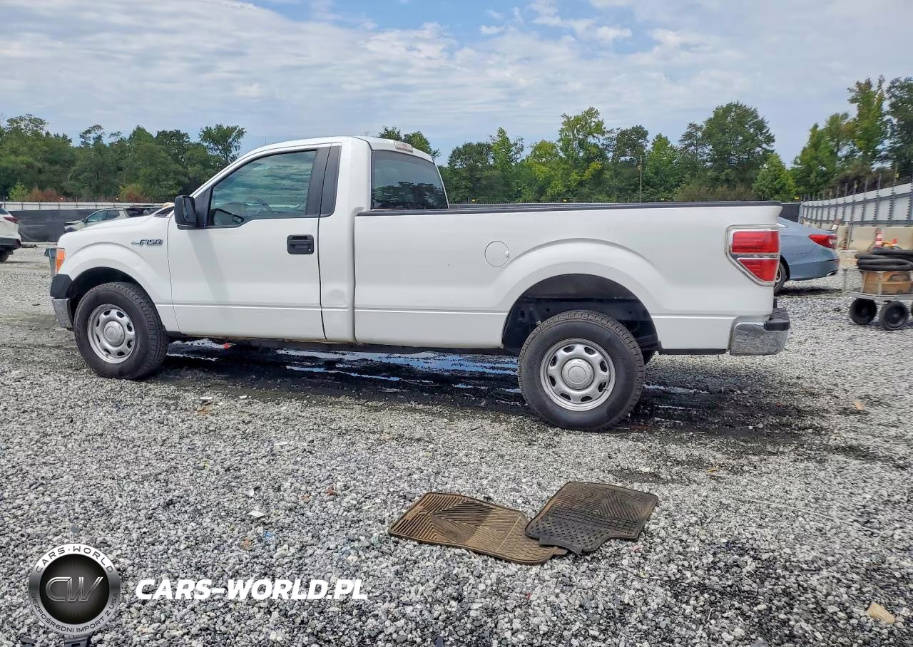 2013 Ford F150 VIN:1FTMF1CM5DKD29842 - 2