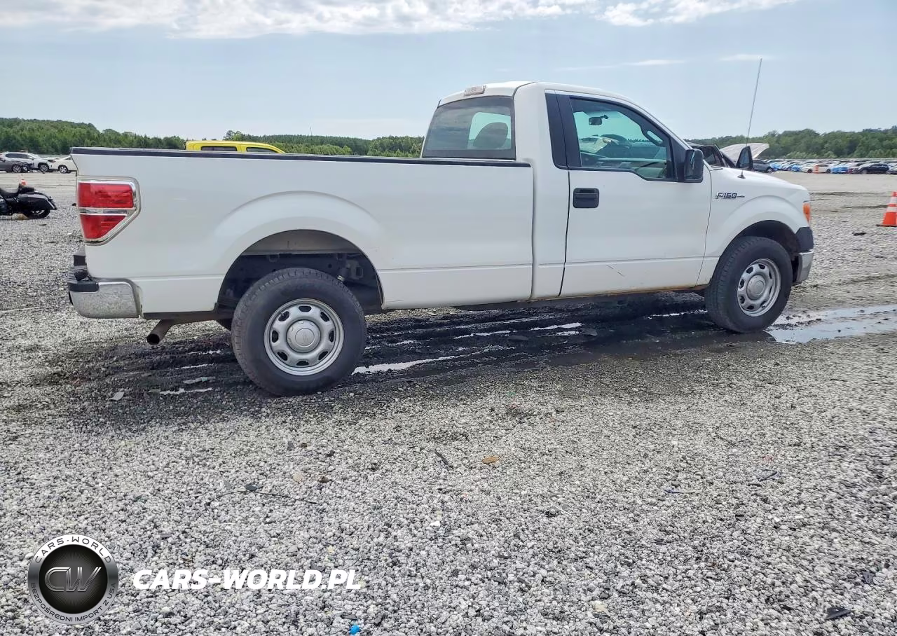 2013 Ford F150 VIN:1FTMF1CM5DKD29842 - 3