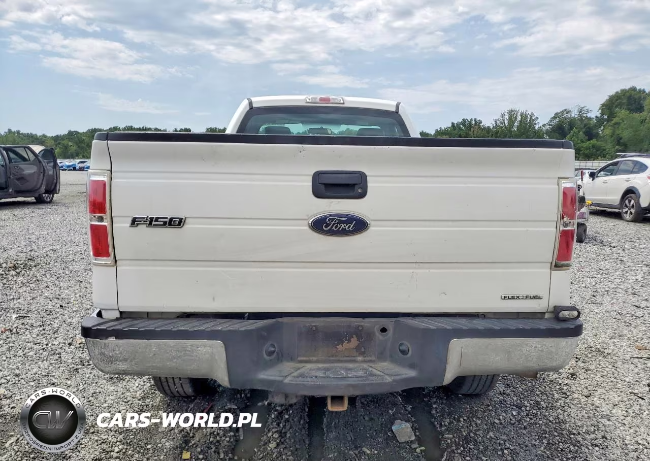 2013 Ford F150 VIN:1FTMF1CM5DKD29842 - 6