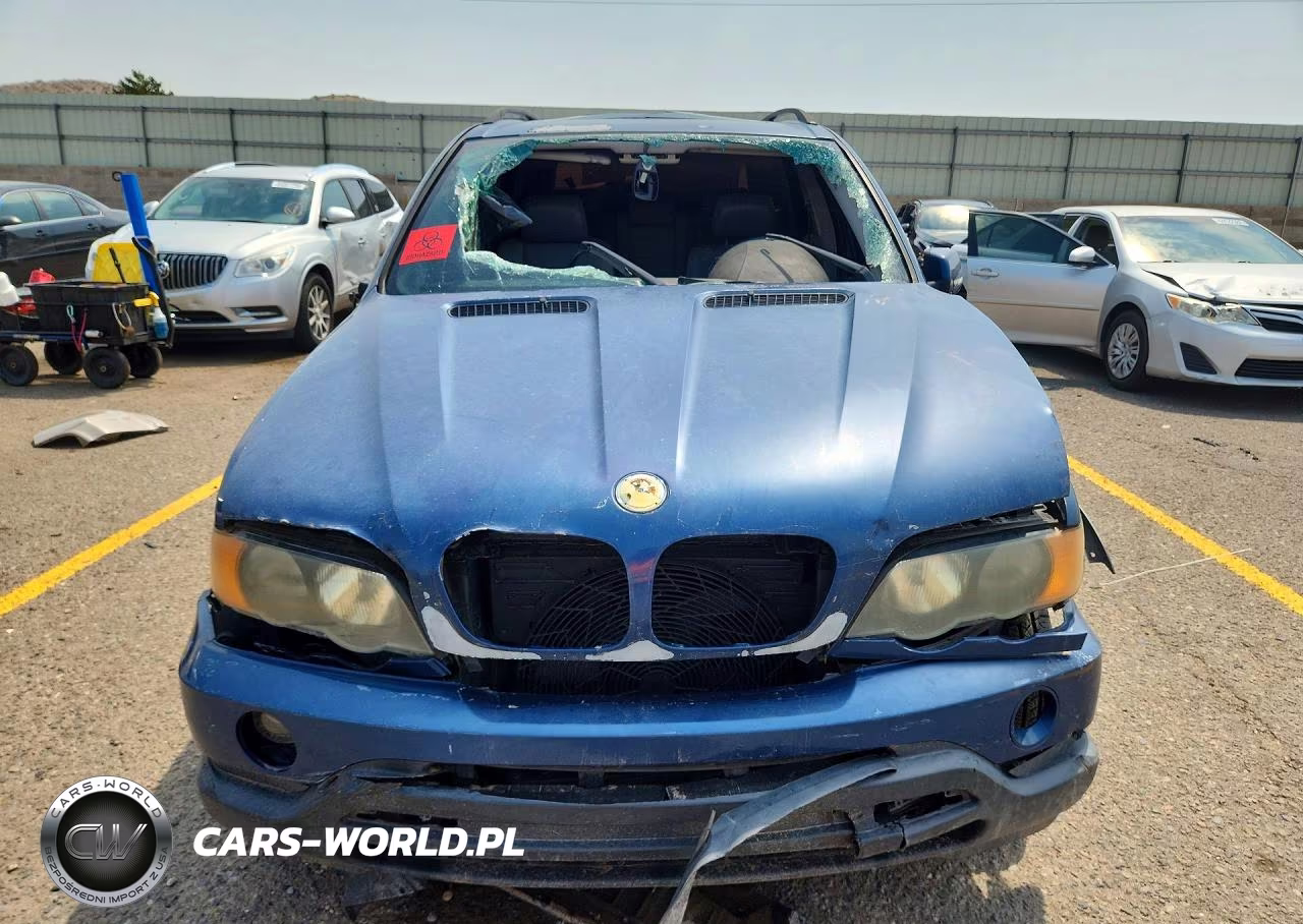 2002 BMW X5 3.0I VIN:5UXFA53562LP41197 - 5