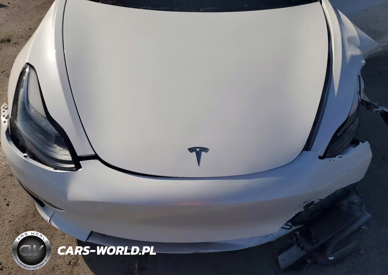 2023 Tesla Model 3 VIN:5YJ3E1EA8PF573116 - 11
