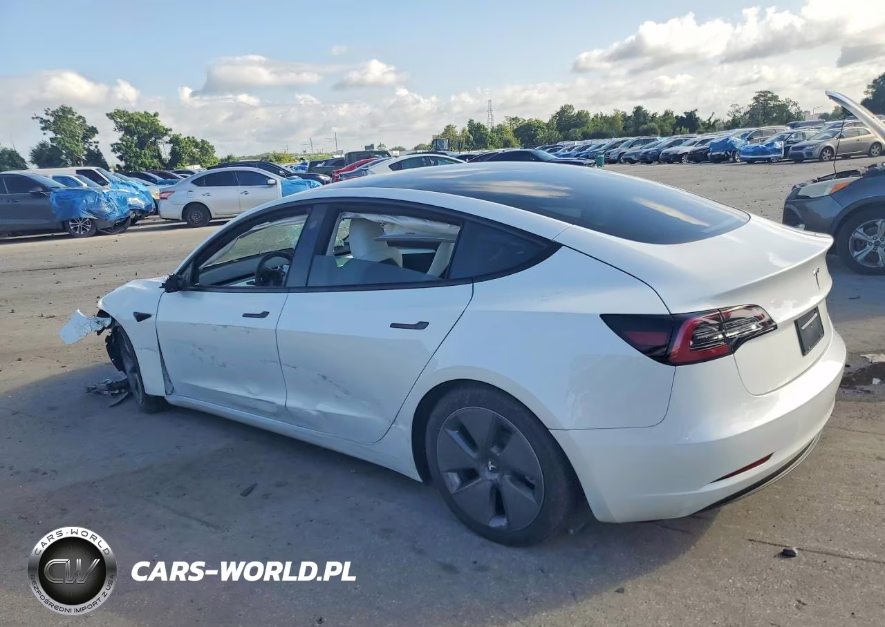 2023 Tesla Model 3 VIN:5YJ3E1EA8PF573116 - 2