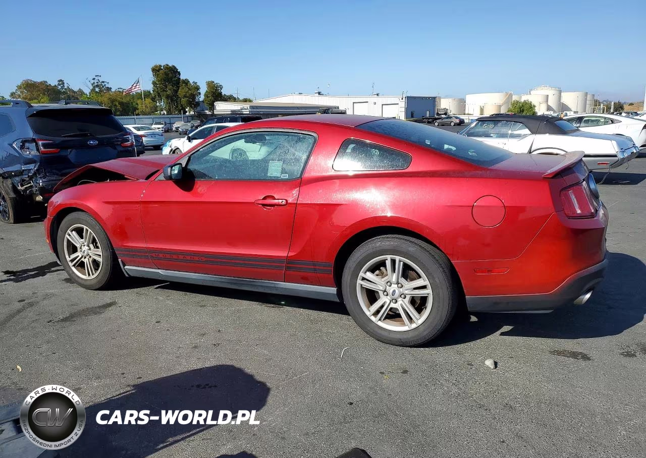 2011 Ford Mustang VIN:1ZVBP8AM7B5169567 - 2
