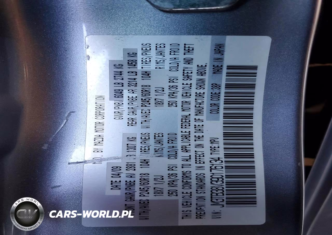 2009 Mazda Cx-9 VIN:JM3TB38V390176134 - 13