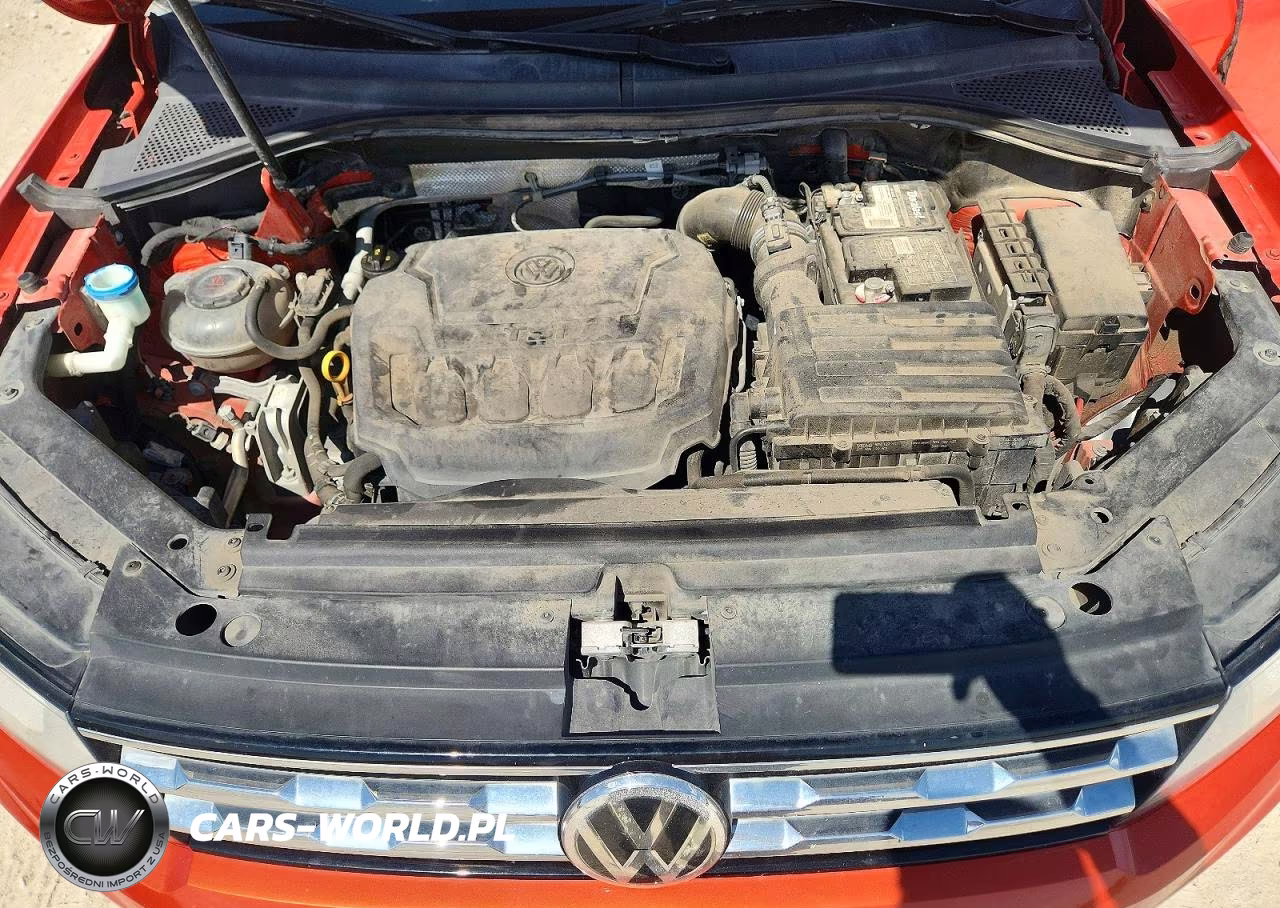 2019 Volkswagen Tiguan Se VIN:3VV3B7AX1KM124128 - 12