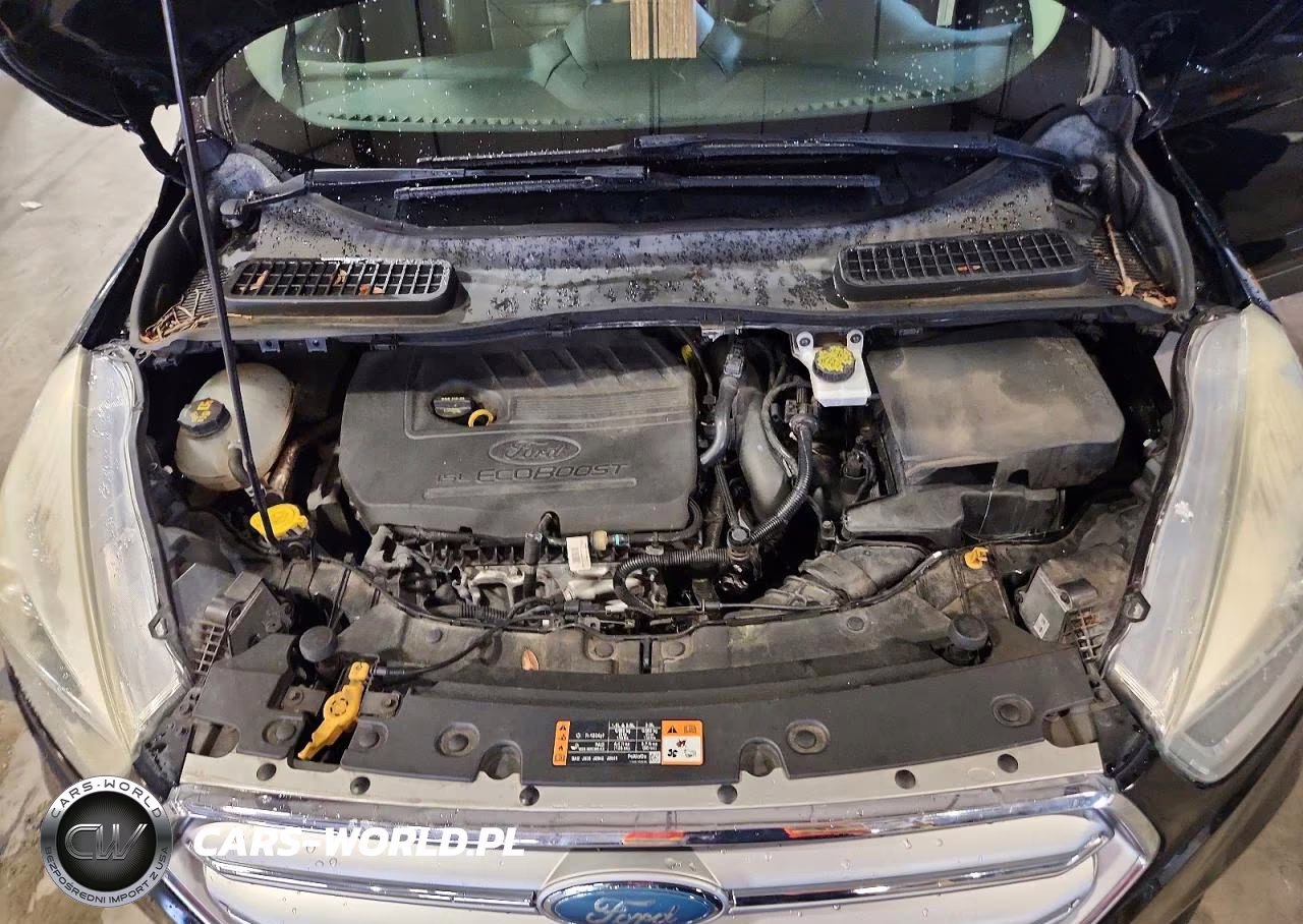 2017 Ford Escape Se VIN:1FMCU0GD6HUB41116 - 12