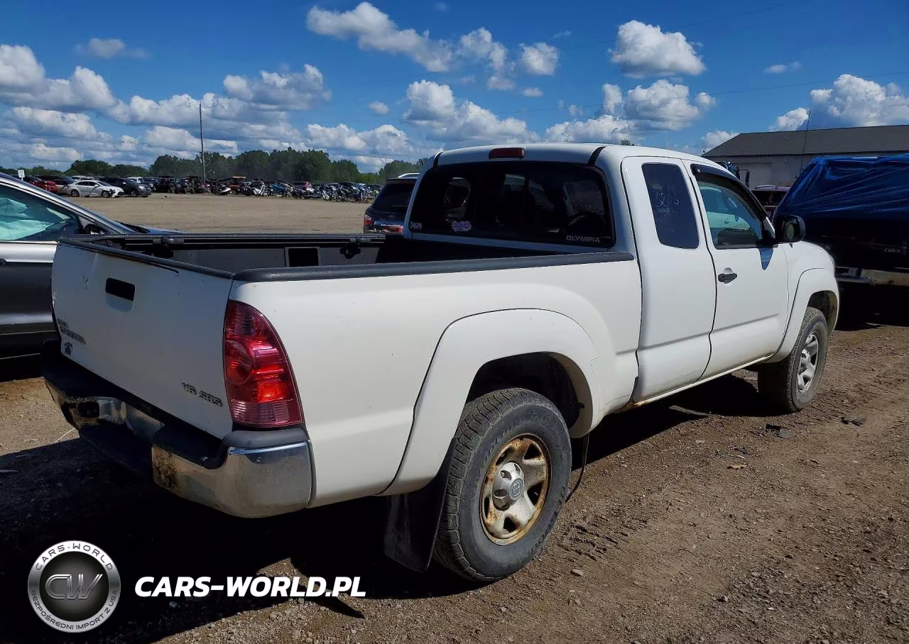 2008 Toyota Tacoma Base V6 VIN:5TEUU42N98Z471842 - 3