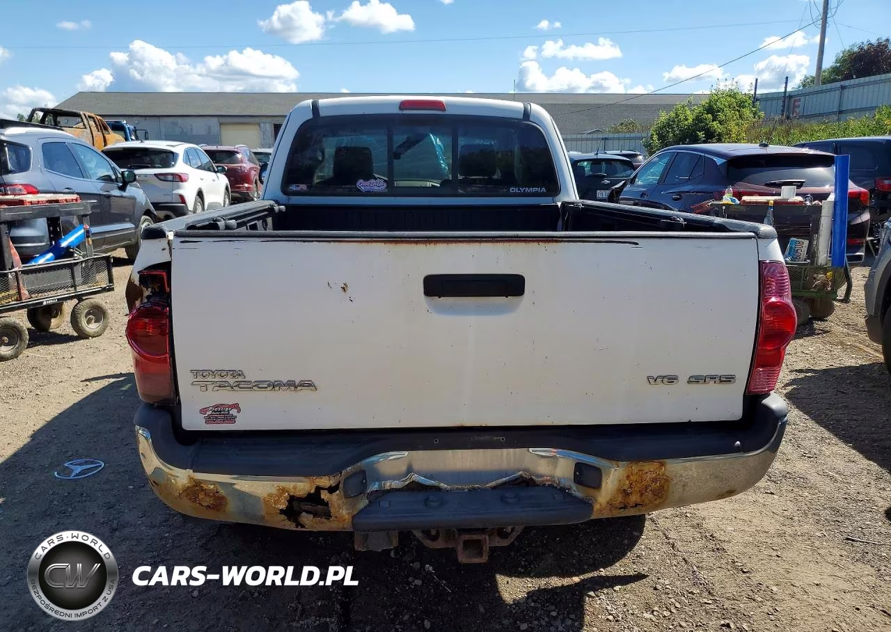 2008 Toyota Tacoma Base V6 VIN:5TEUU42N98Z471842 - 6