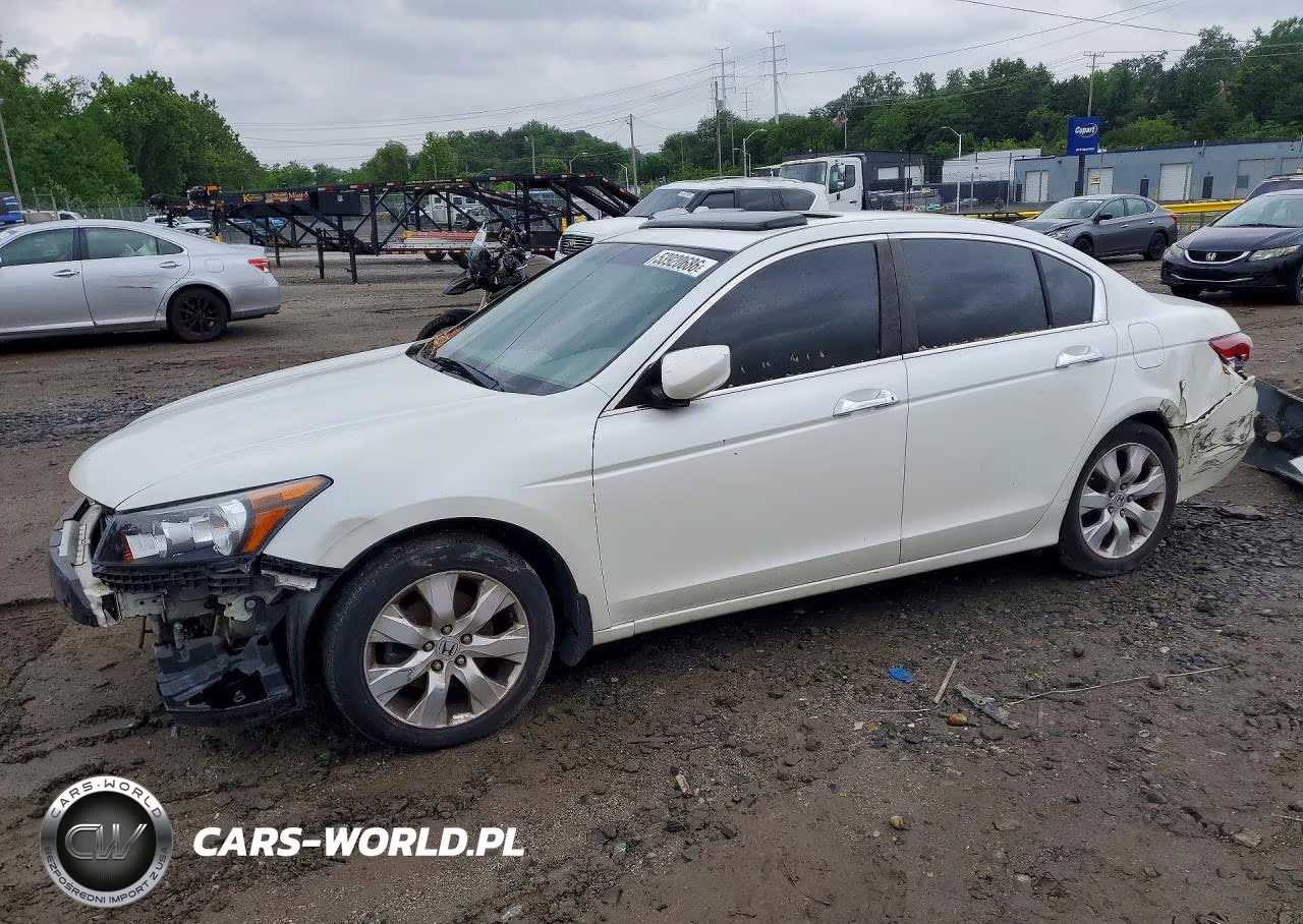 2008 Honda Accord Exl VIN:1HGCP368X8A028693 - 1