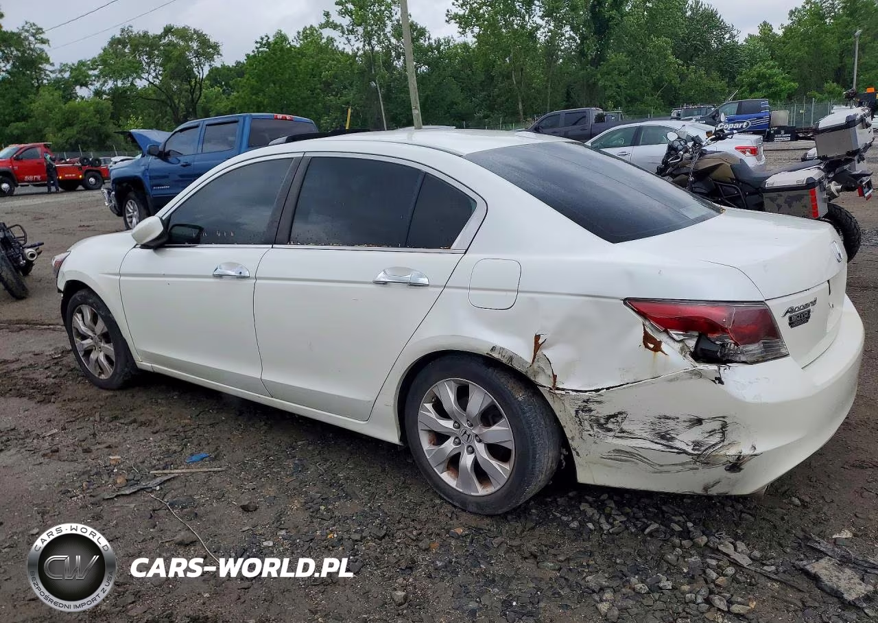 2008 Honda Accord Exl VIN:1HGCP368X8A028693 - 2