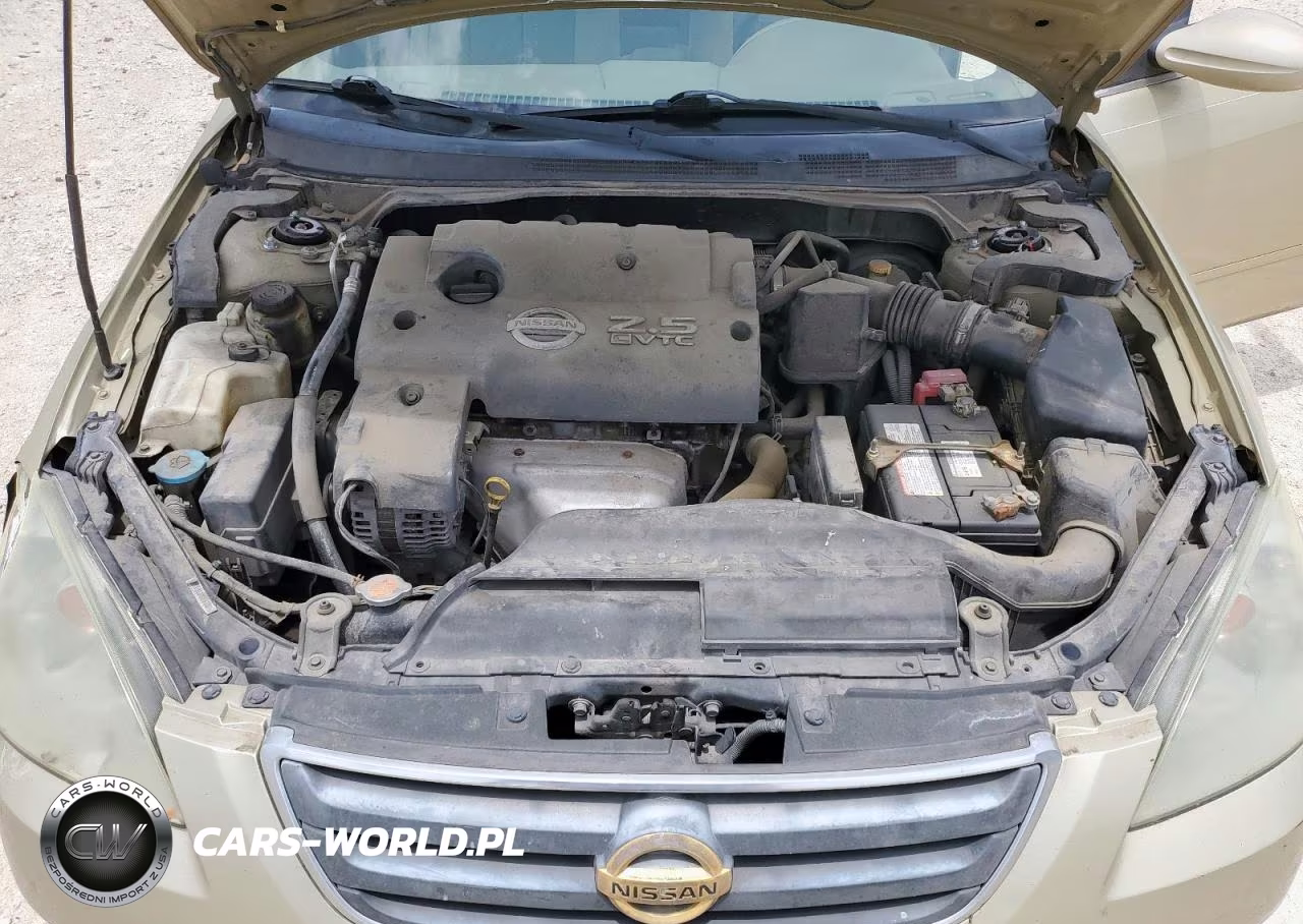 2004 Nissan Altima Base VIN:1N4AL11DX4C100331 - 11