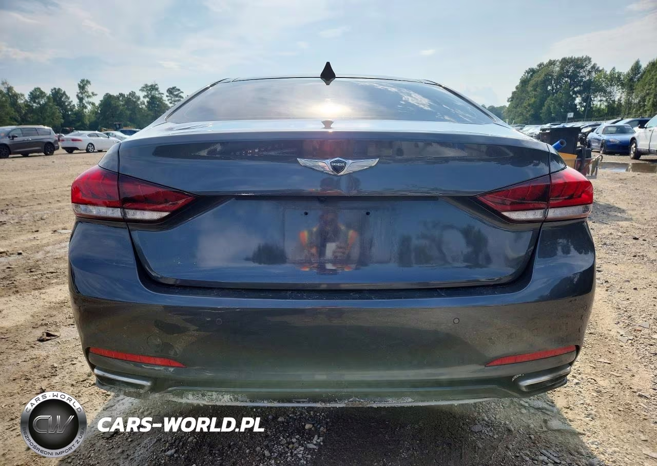 2018 Genesis G80 3.8 VIN:KMHGN4JE7JU233607 - 6
