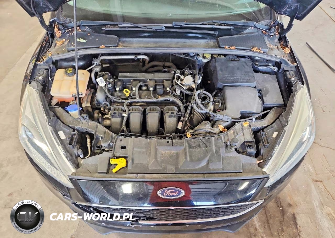 2016 Ford Focus Se VIN:1FADP3F28GL282216 - 11