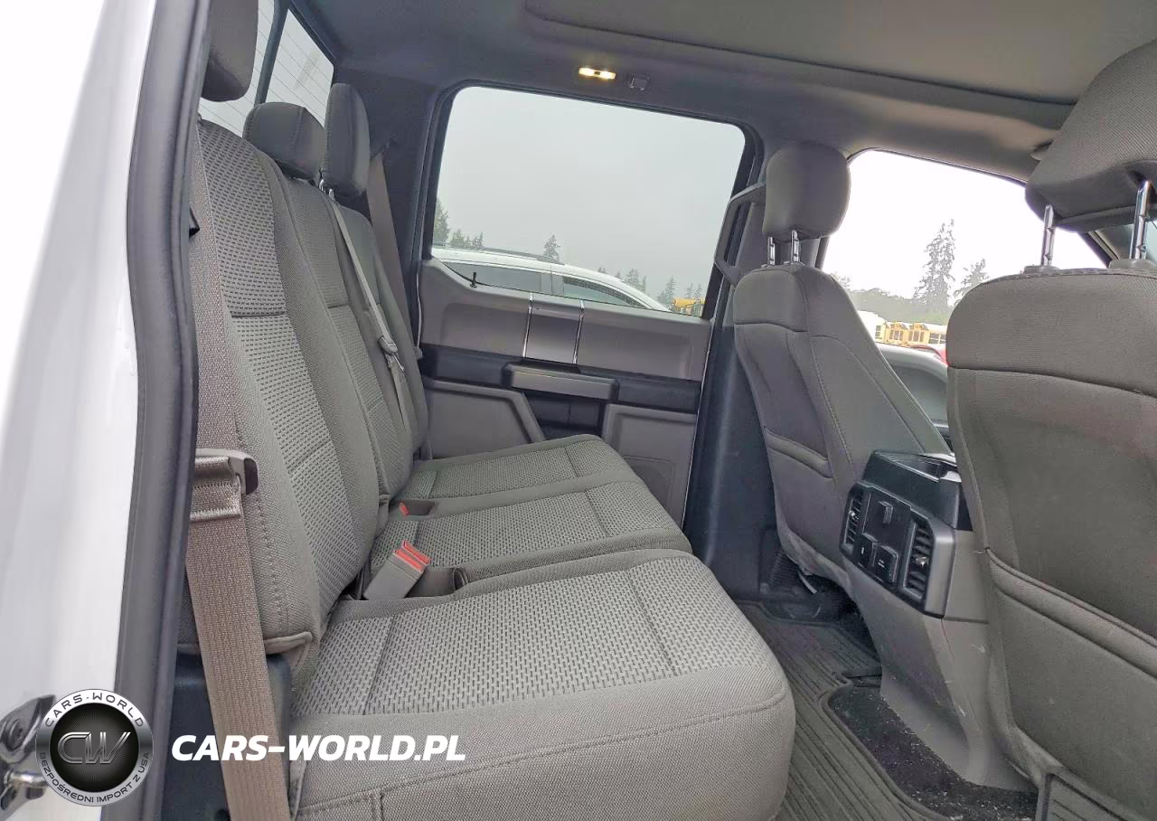 2019 Ford F150 Supercrew VIN:1FTEW1CP7KKC04451 - 10