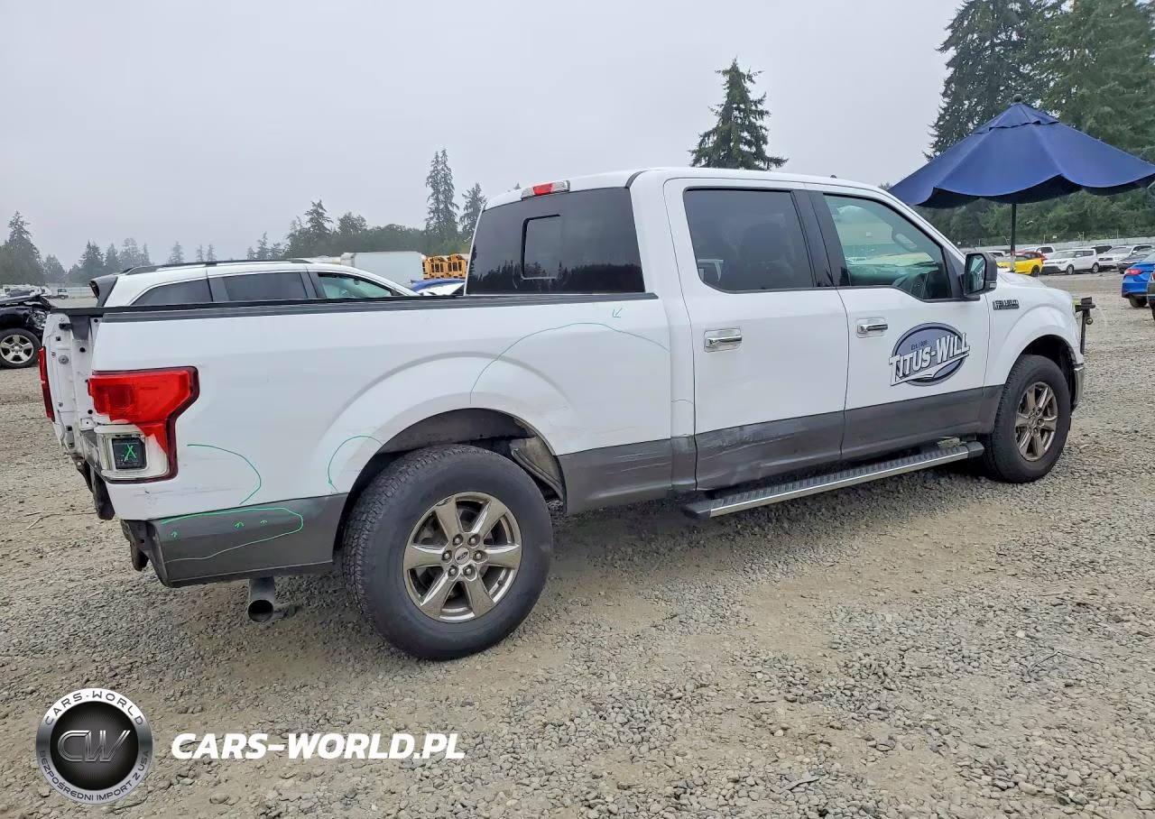 2019 Ford F150 Supercrew VIN:1FTEW1CP7KKC04451 - 3
