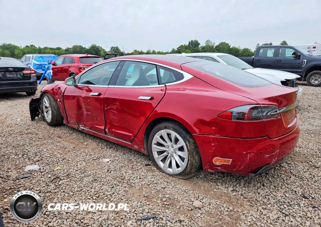 2019 Tesla Model S VIN:5YJSA1E25KF343753 - 2