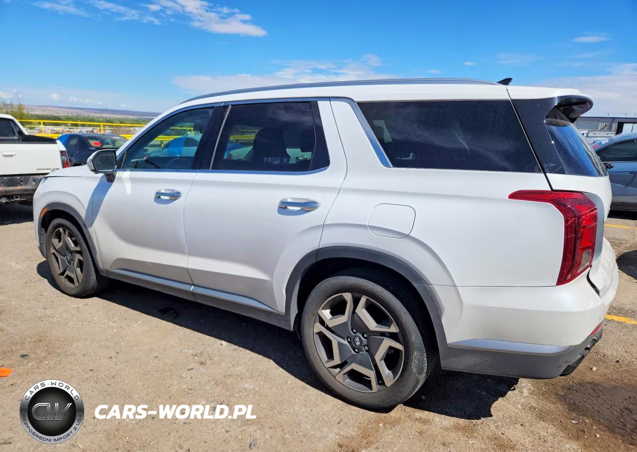 2024 Hyundai Palisade Sel Premium VIN:KM8R4DGE8RU666478 - 2