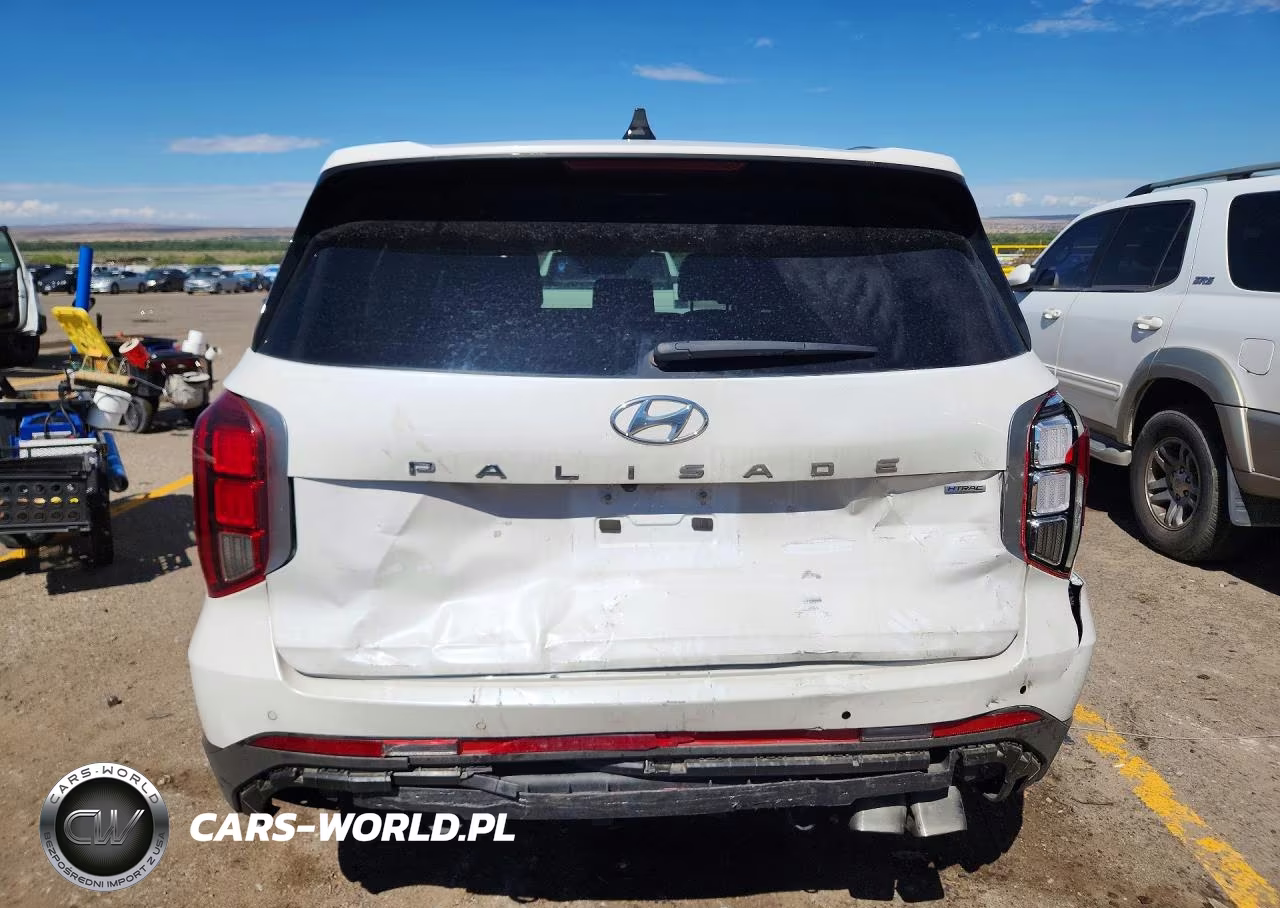 2024 Hyundai Palisade Sel Premium VIN:KM8R4DGE8RU666478 - 6