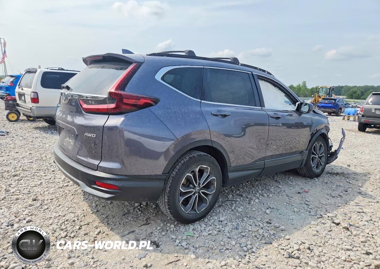 2020 Honda Cr-V Ex VIN:5J6RW2H52LL045231 - 3