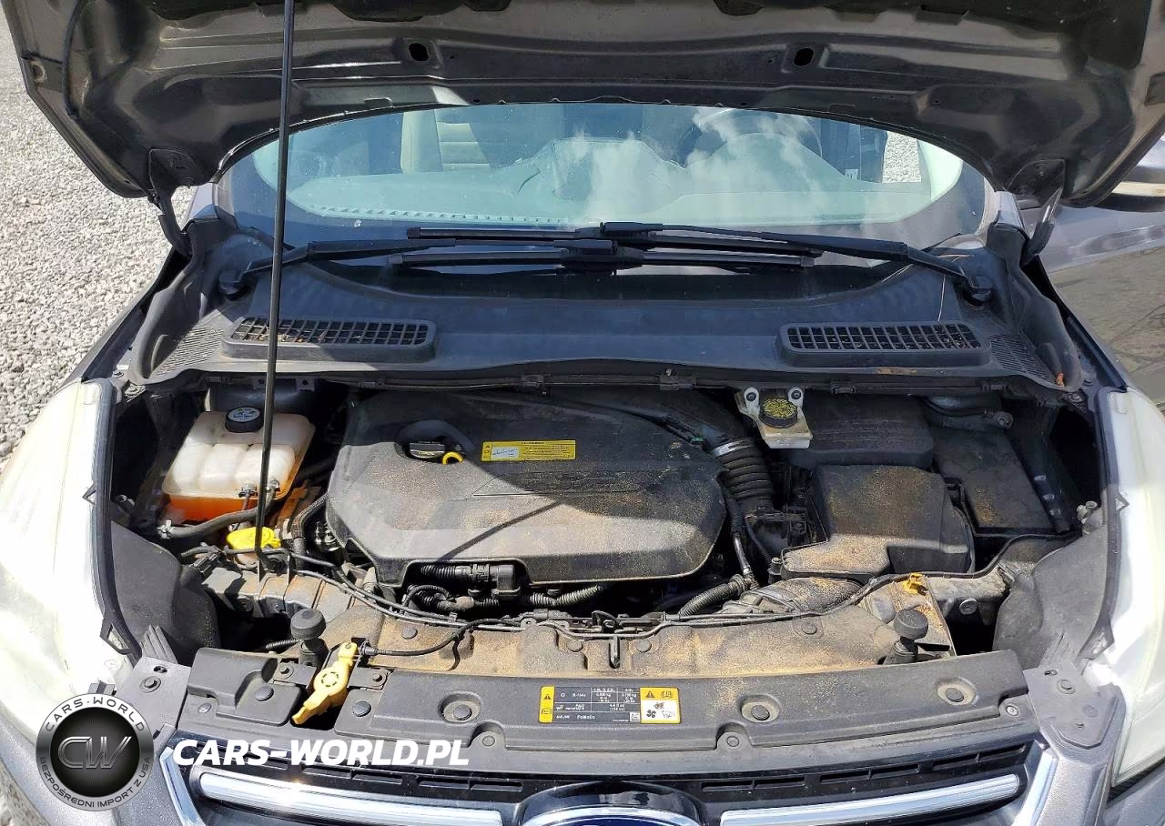 2013 Ford Escape Sel VIN:1FMCU0HX5DUB55639 - 12