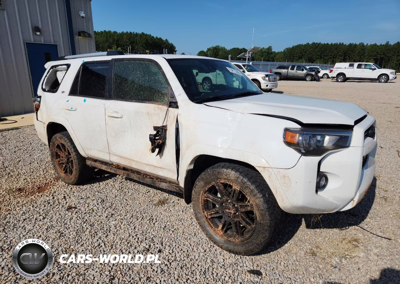 2024 Toyota 4Runner Sr5 Premium VIN:JTENU5JR5R6256631 - 4