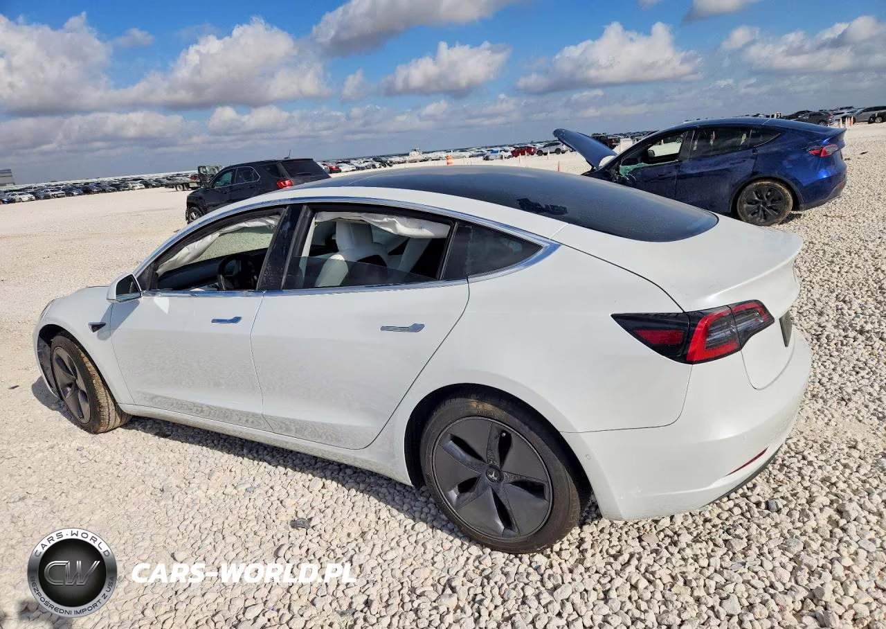 2020 Tesla Model 3 VIN:5YJ3E1EB1LF606976 - 2