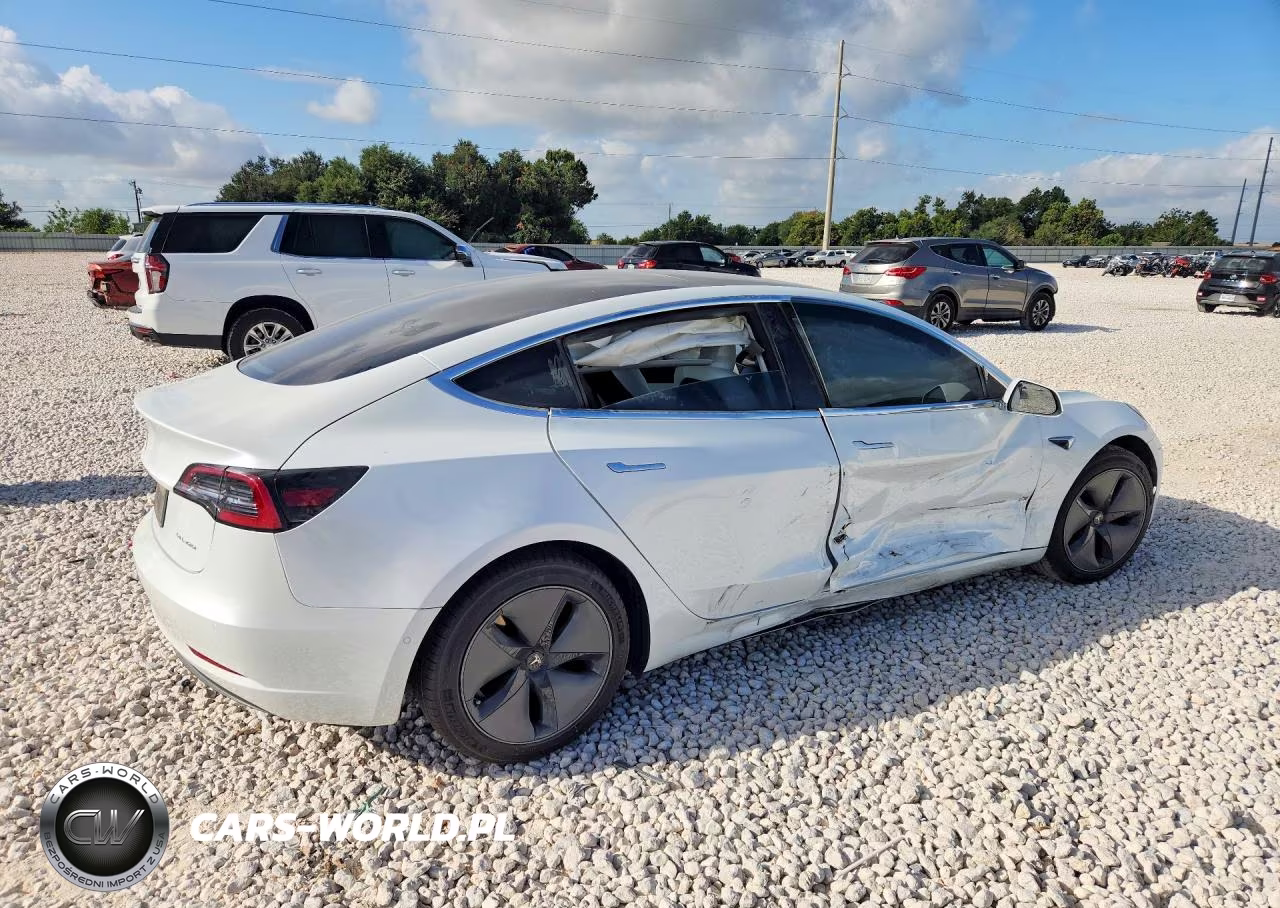 2020 Tesla Model 3 VIN:5YJ3E1EB1LF606976 - 3