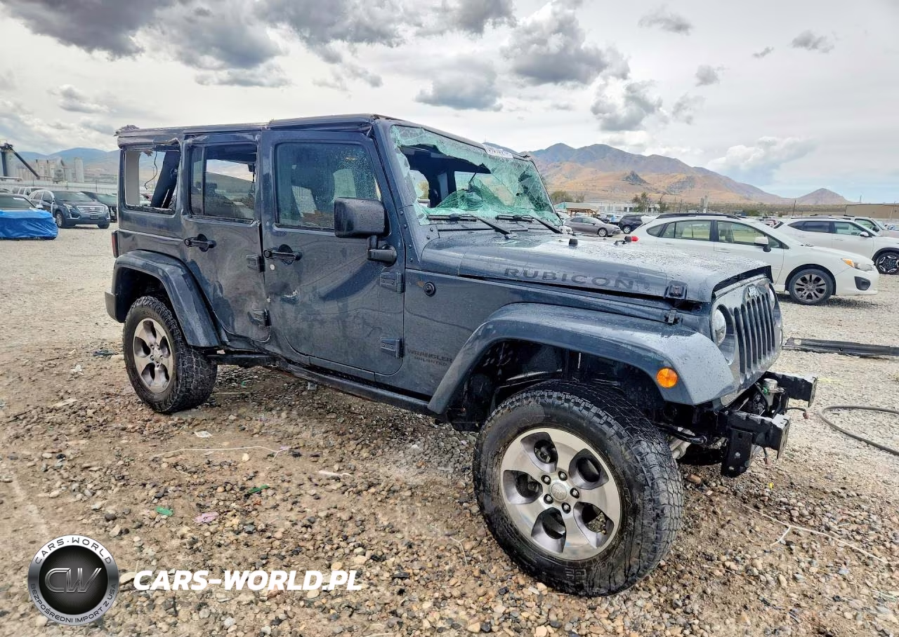 2016 Jeep Wrangler Unlimited Rubicon VIN:1C4BJWFG5GL339780 - 4