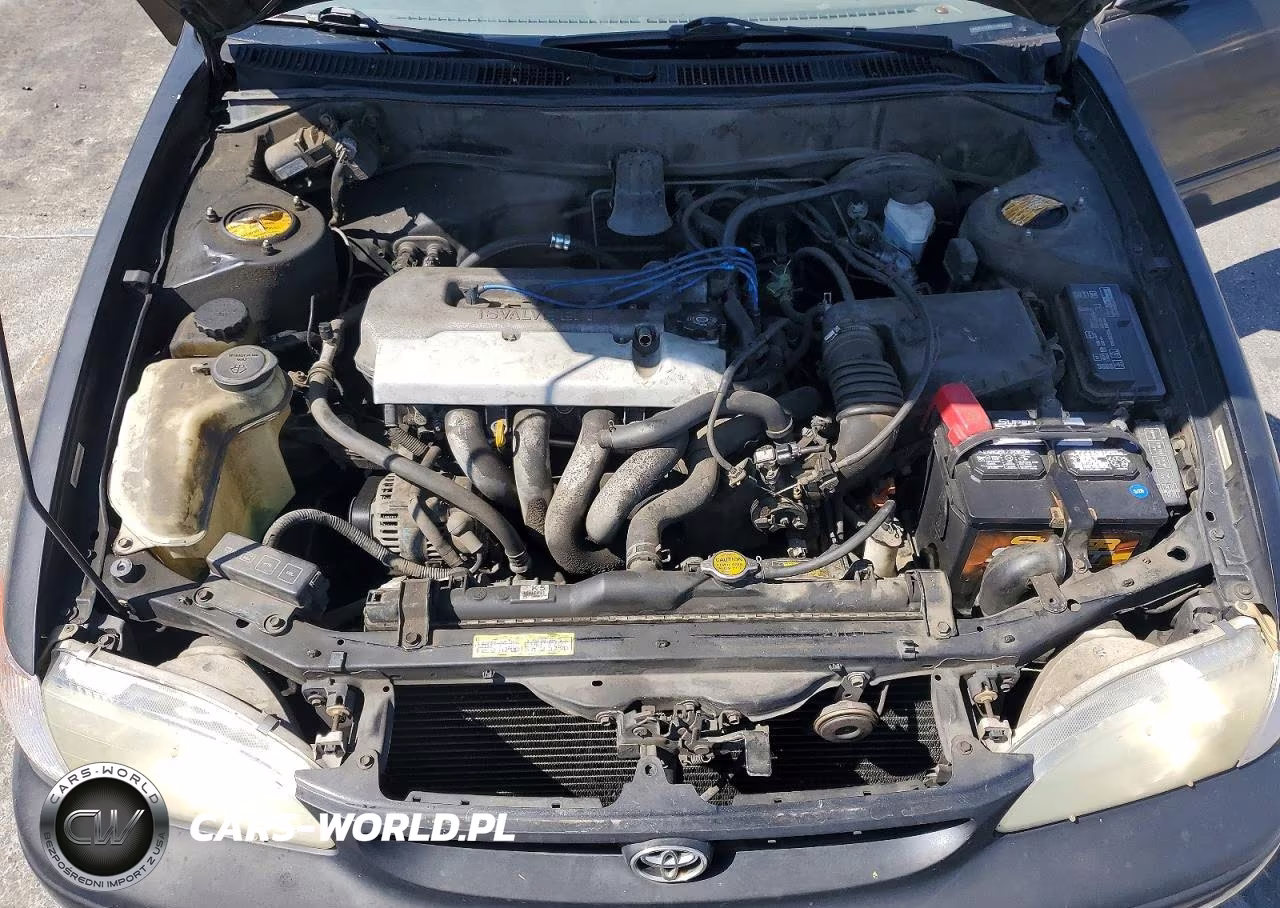 1999 Toyota Corolla Ve VIN:1NXBR12EXXZ234304 - 11