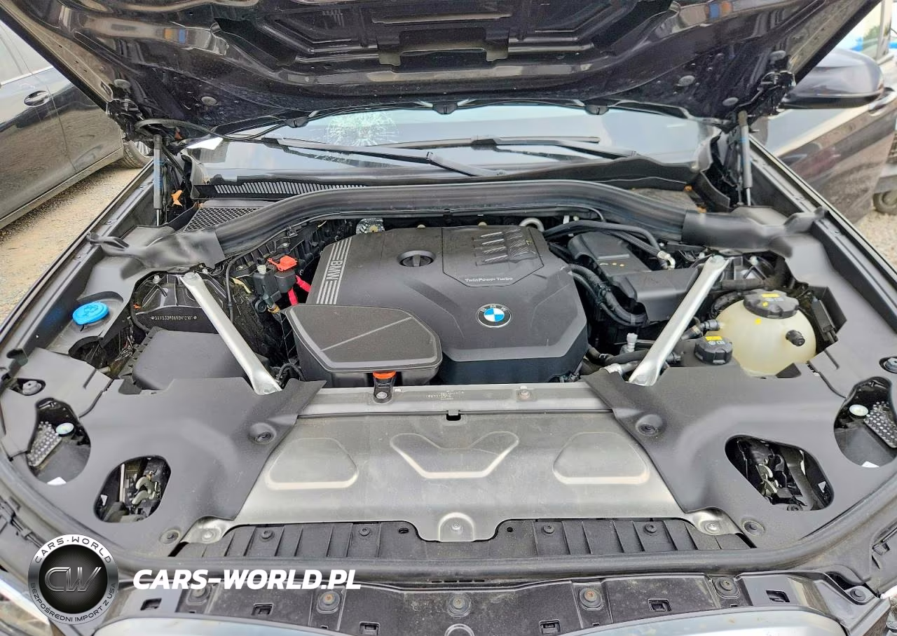 2022 BMW X3 xDrive30I VIN:5UX53DP06N9N12101 - 12