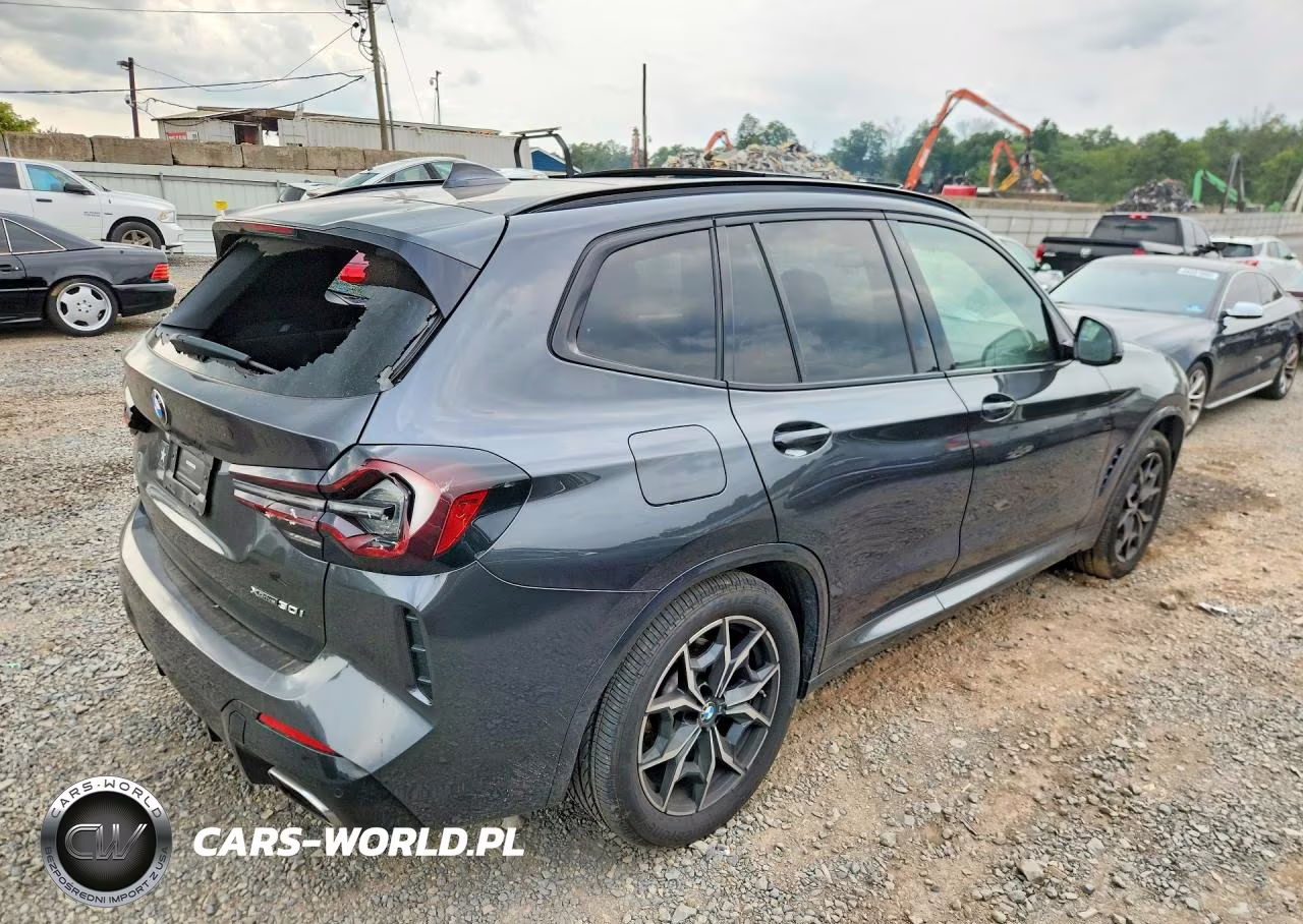 2022 BMW X3 xDrive30I VIN:5UX53DP06N9N12101 - 3