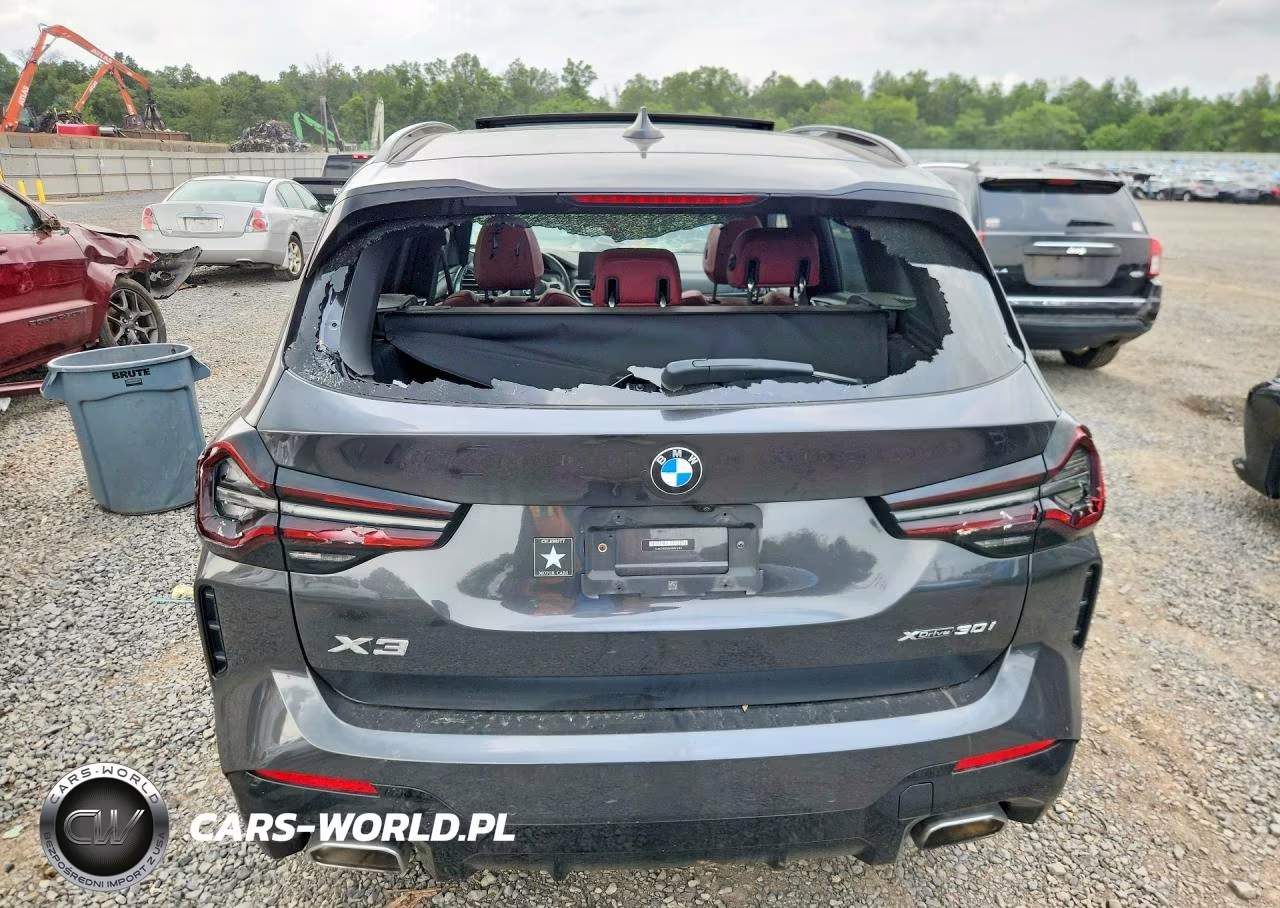 2022 BMW X3 xDrive30I VIN:5UX53DP06N9N12101 - 6
