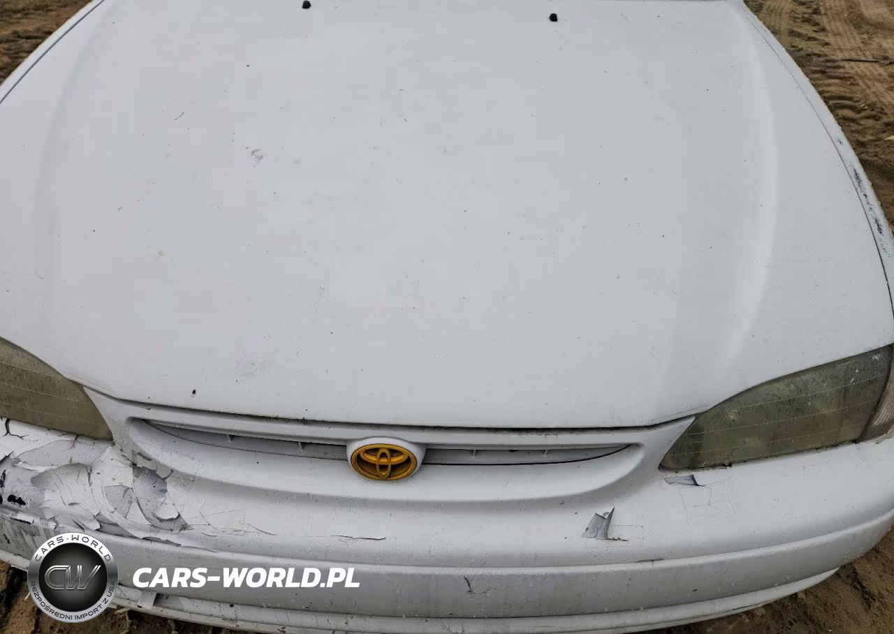 2000 Toyota Corolla Ve VIN:2T1BR18E8YC335030 - 11