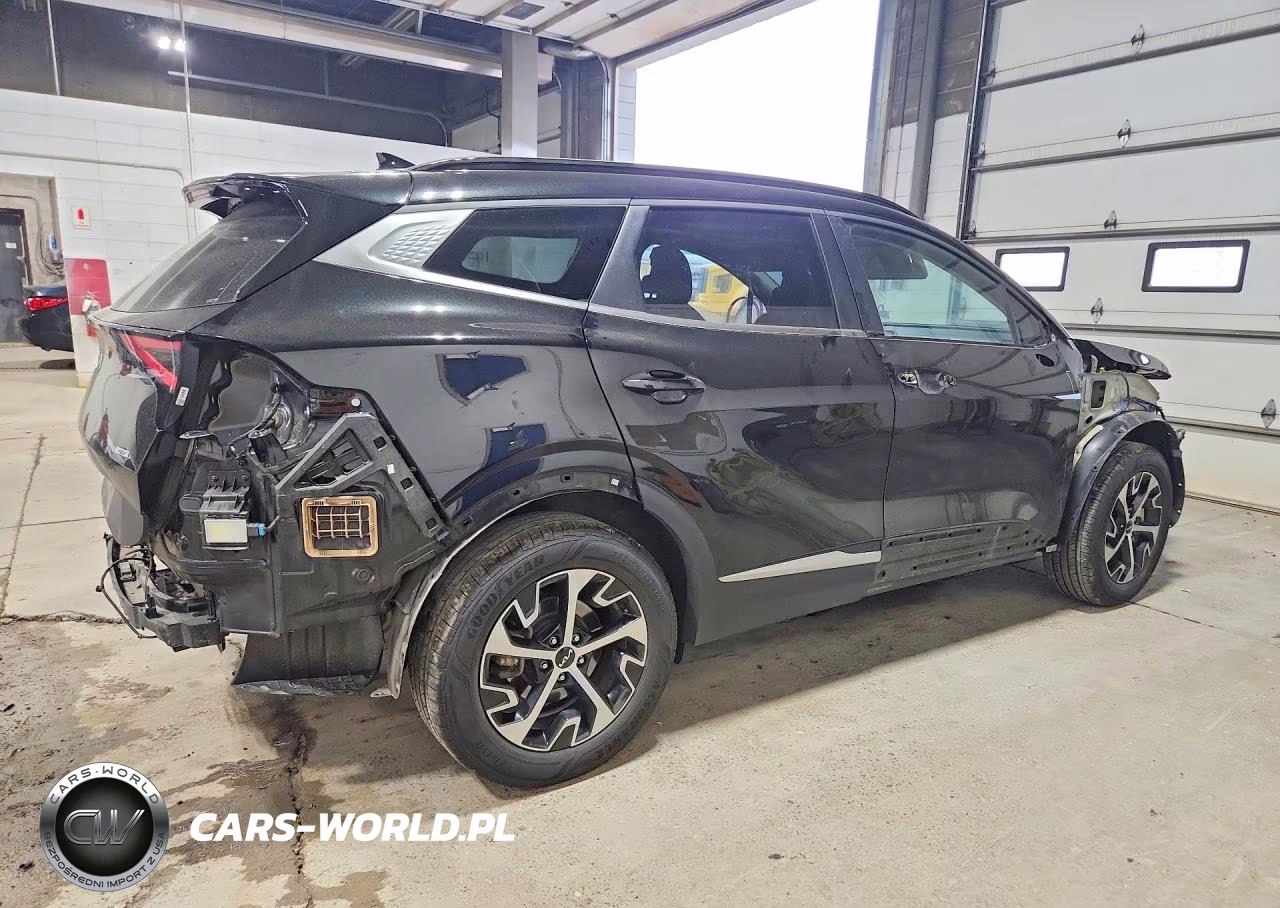 2024 Kia Sportage Ex VIN:KNDPVCDG3R7159107 - 3