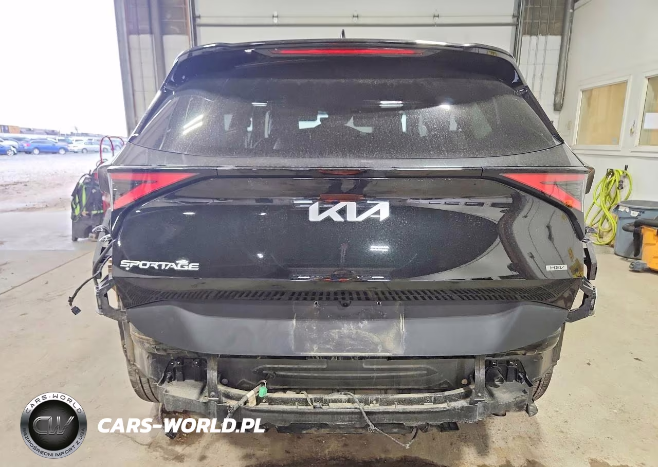 2024 Kia Sportage Ex VIN:KNDPVCDG3R7159107 - 6