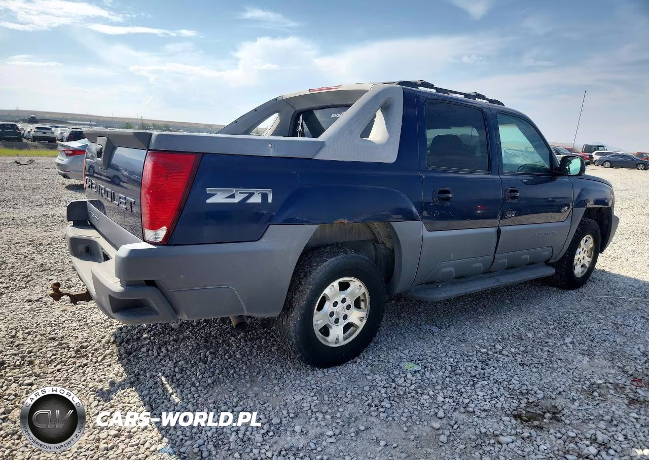 2002 Chevrolet Avalanche K1500 VIN:3GNEK13T92G164994 - 3