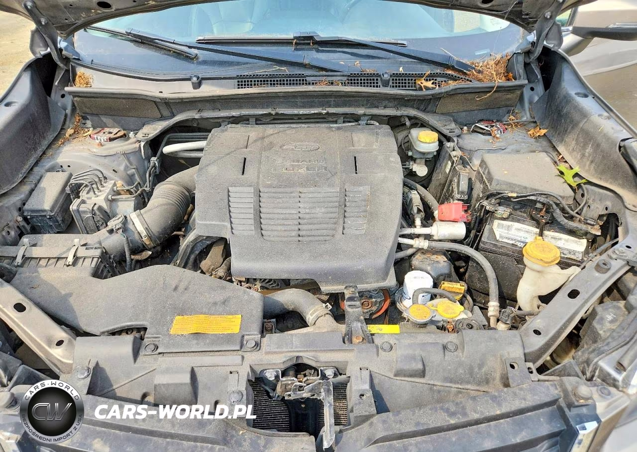 2019 Subaru Forester Limited VIN:JF2SKAUC8KH555040 - 11