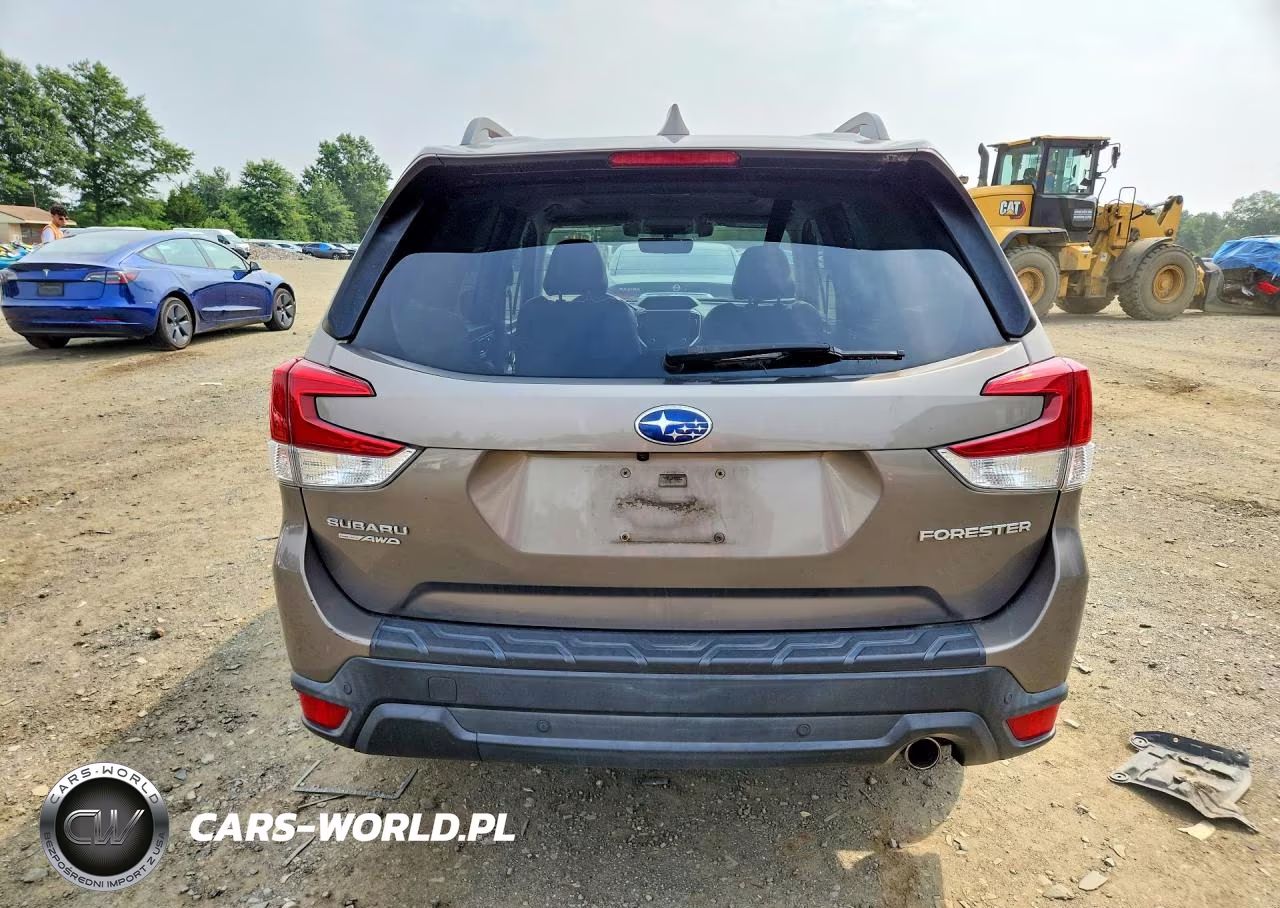 2019 Subaru Forester Limited VIN:JF2SKAUC8KH555040 - 6