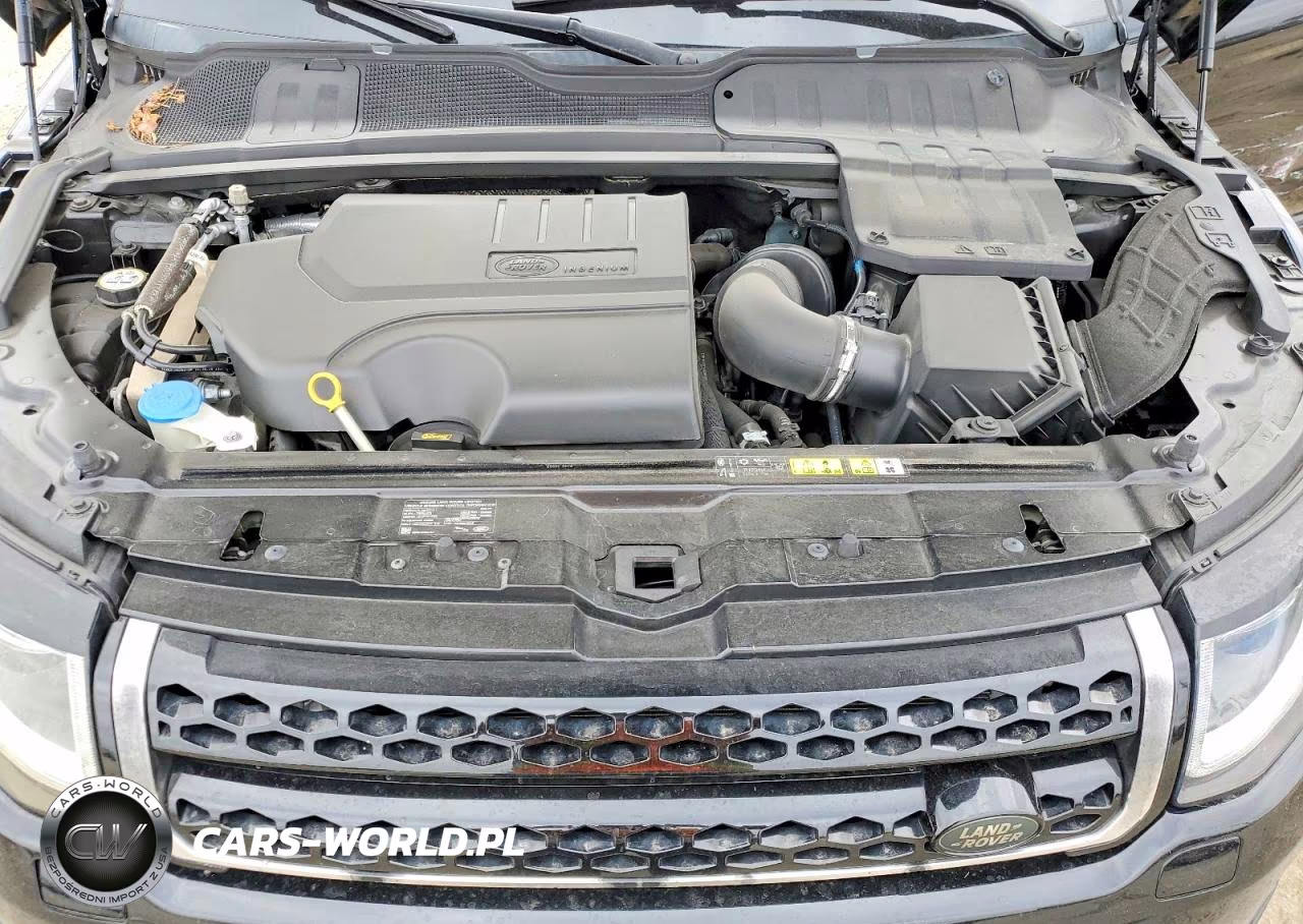 2019 Land Rover Range Rover Evoque Se VIN:SALVP2RX5KH349729 - 12