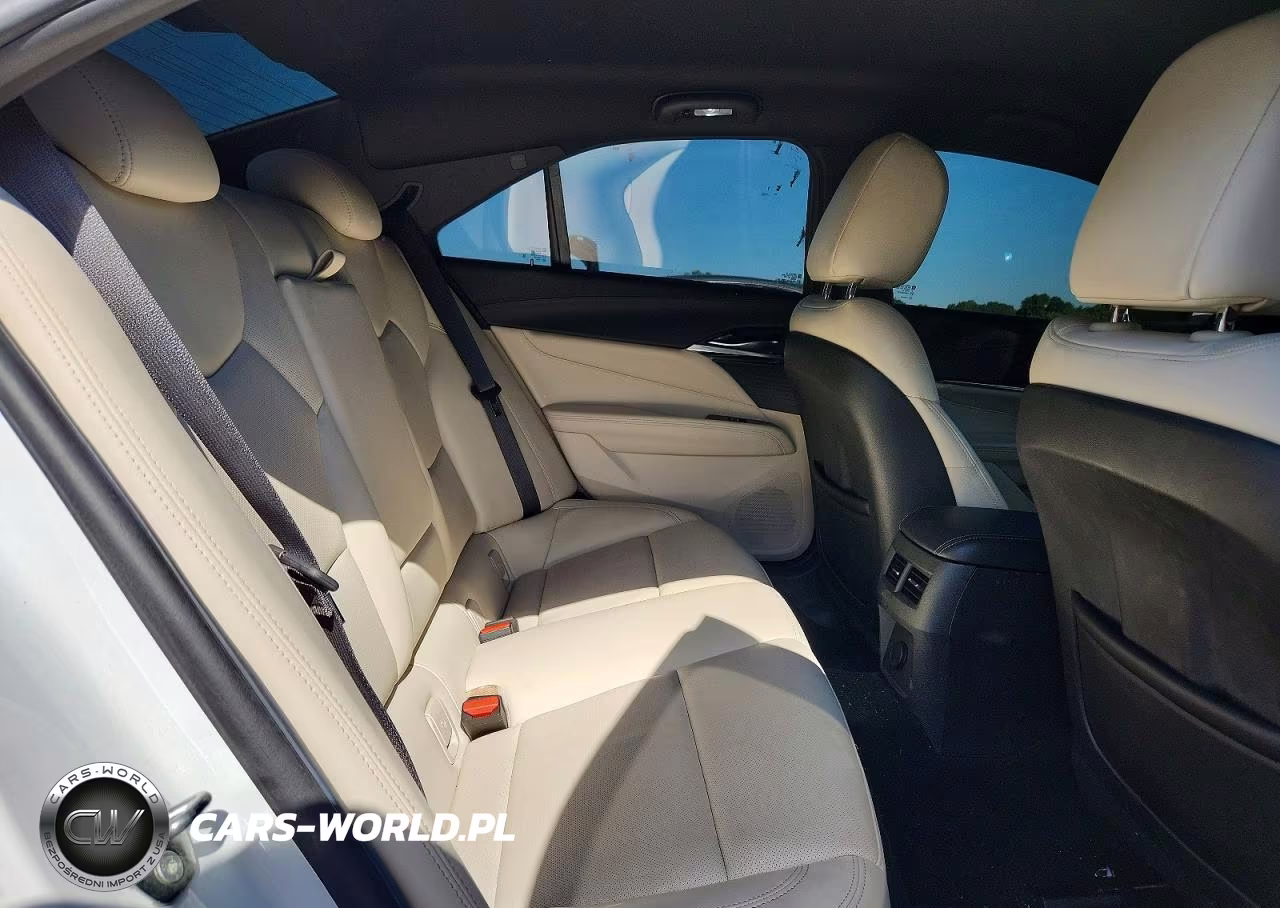 2022 Cadillac Ct4 Premium Luxury VIN:1G6DB5RKXN0118922 - 10