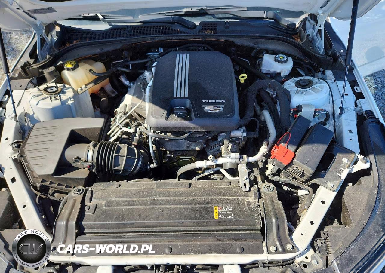 2022 Cadillac Ct4 Premium Luxury VIN:1G6DB5RKXN0118922 - 11