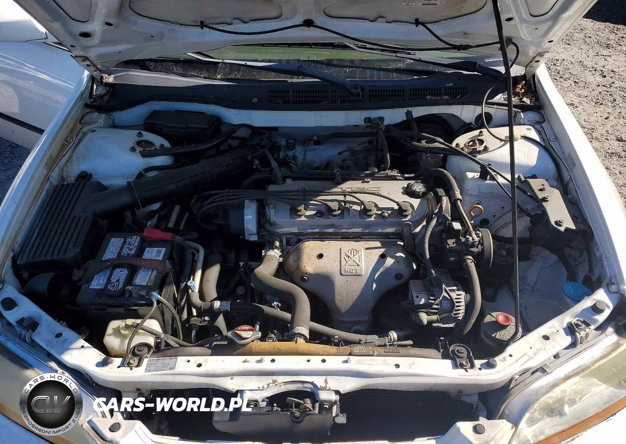 1999 Honda Accord Lx VIN:JHMCG5640XC045236 - 11
