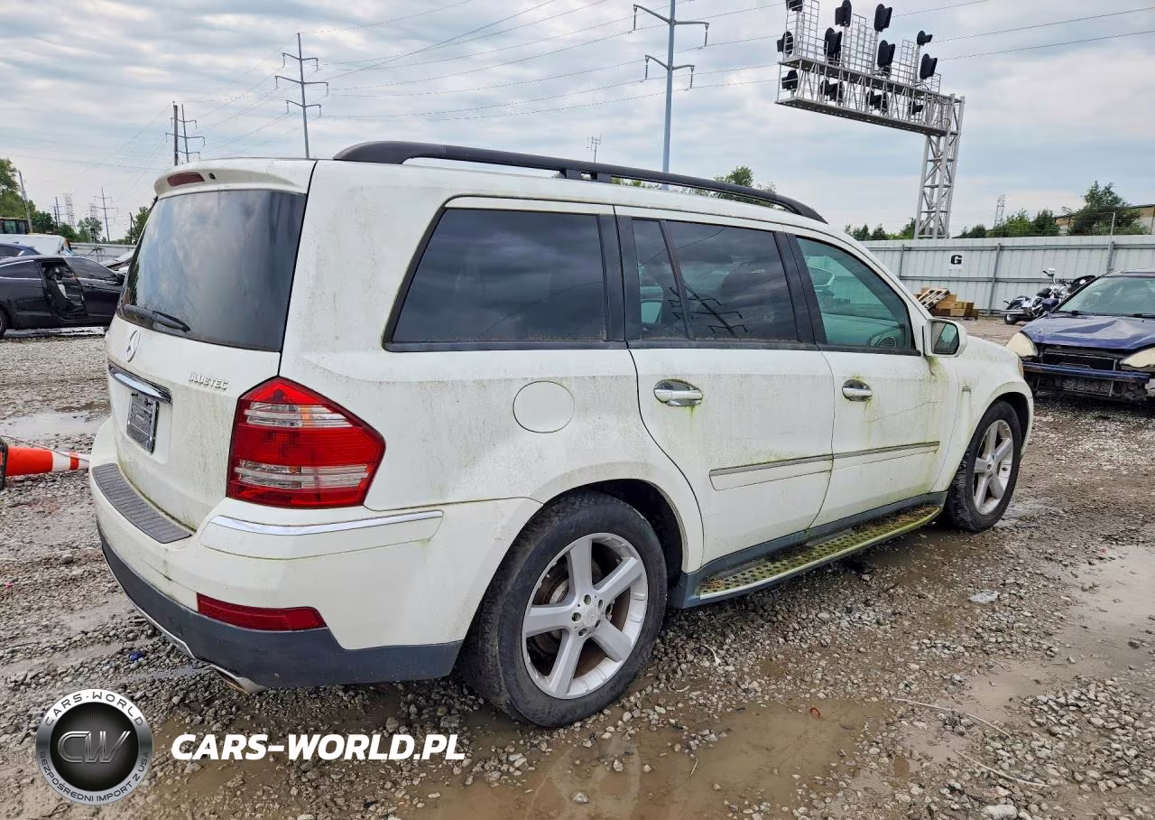 2009 Mercedes-Benz Gl VIN:4JGBF25E59A529356 - 3