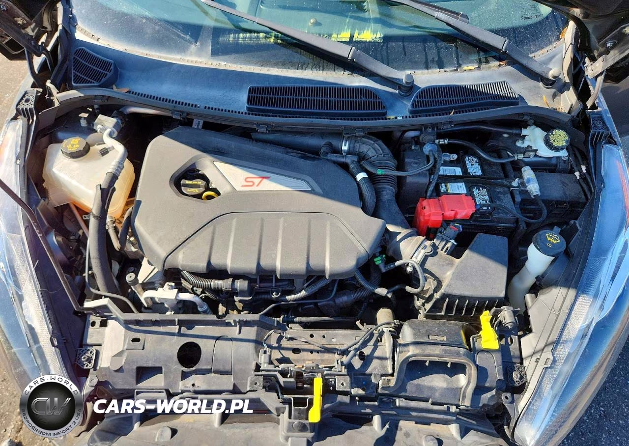2017 Ford Fiesta St VIN:3FADP4GX9HM169293 - 11