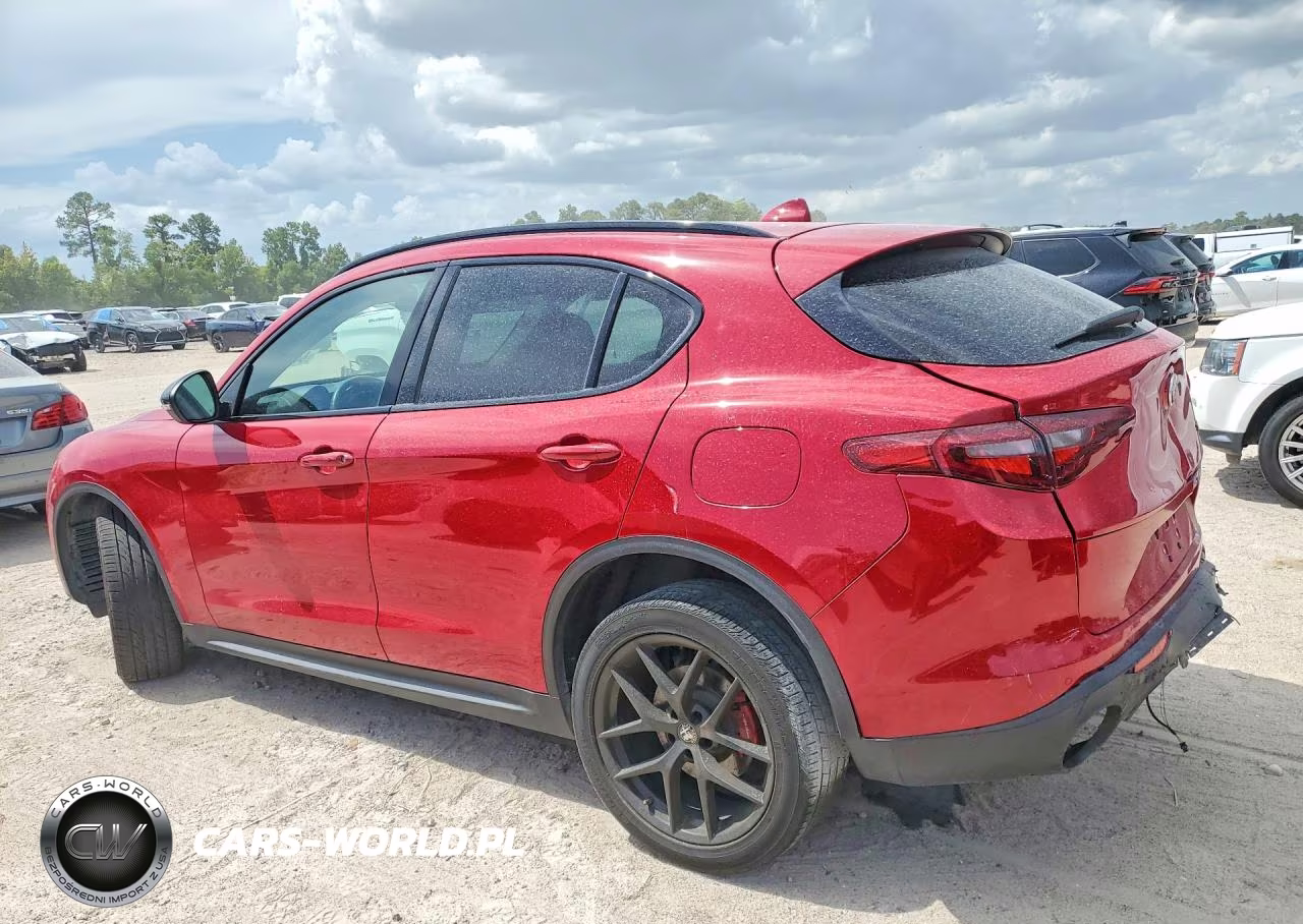 2020 Alfa Romeo Stelvio VIN:ZASPAJAN8L7C95007 - 2