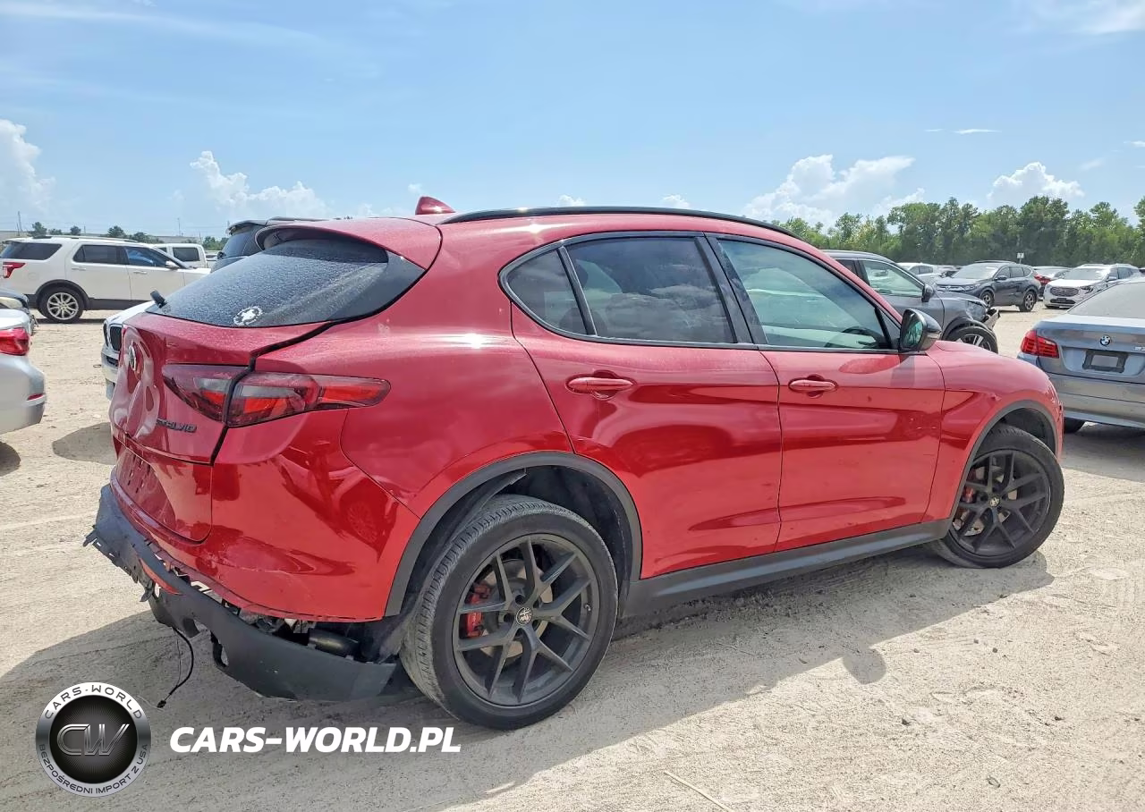 2020 Alfa Romeo Stelvio VIN:ZASPAJAN8L7C95007 - 3
